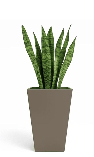 Bloem Finley 20" Tall Square Tapered Resin Planter, Peppercorn