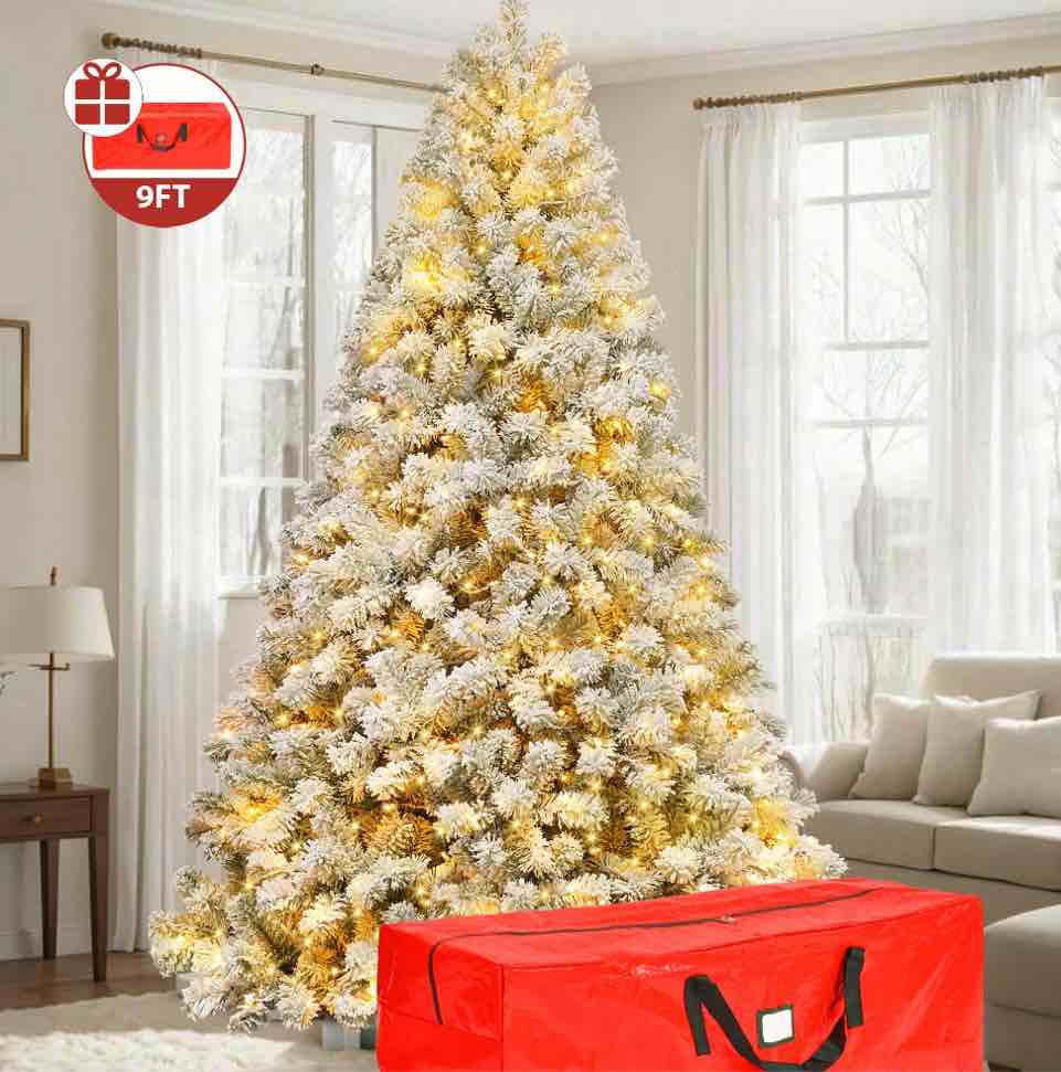 Bid and Win In Mason!