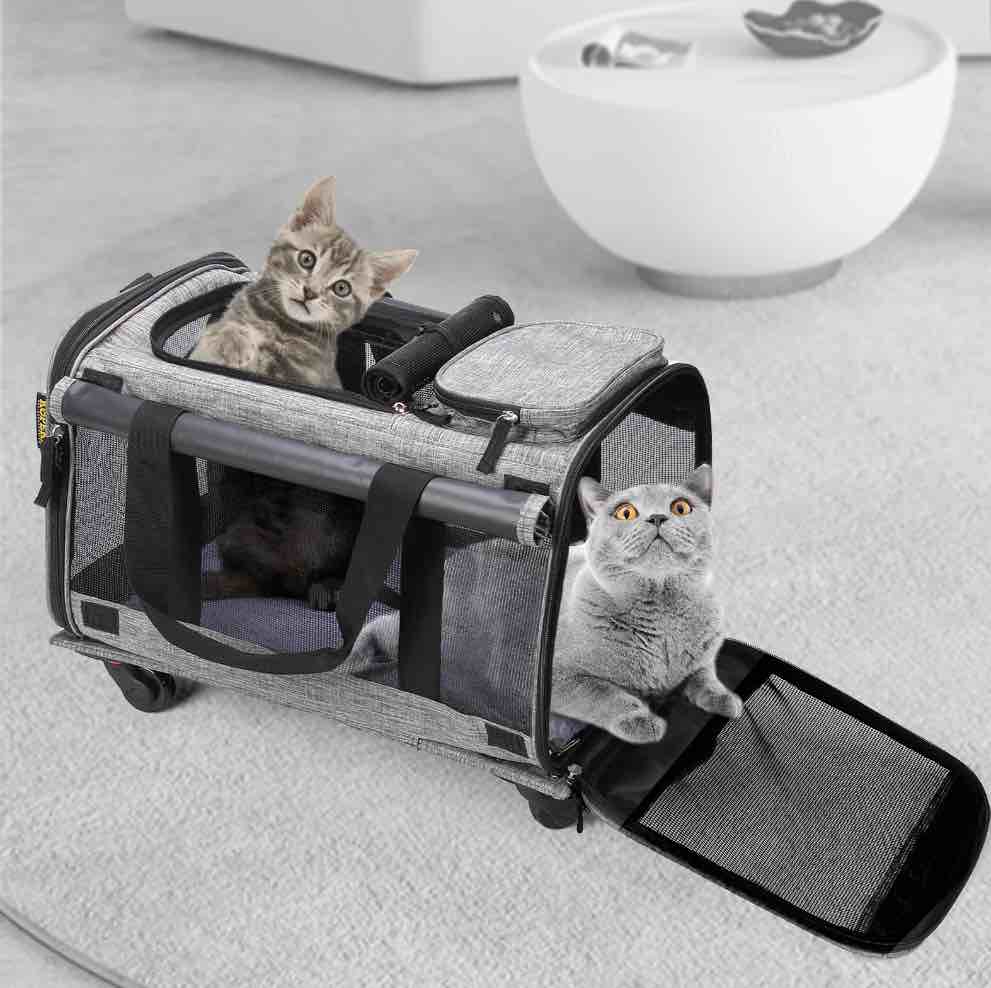 MEXMIODY Pet Carrier with Wheels  Airline Approved Dog Cat Carrier for Medium Small Dogs  Pet Travel Rolling Carrier  Telescopic Handle  Grey