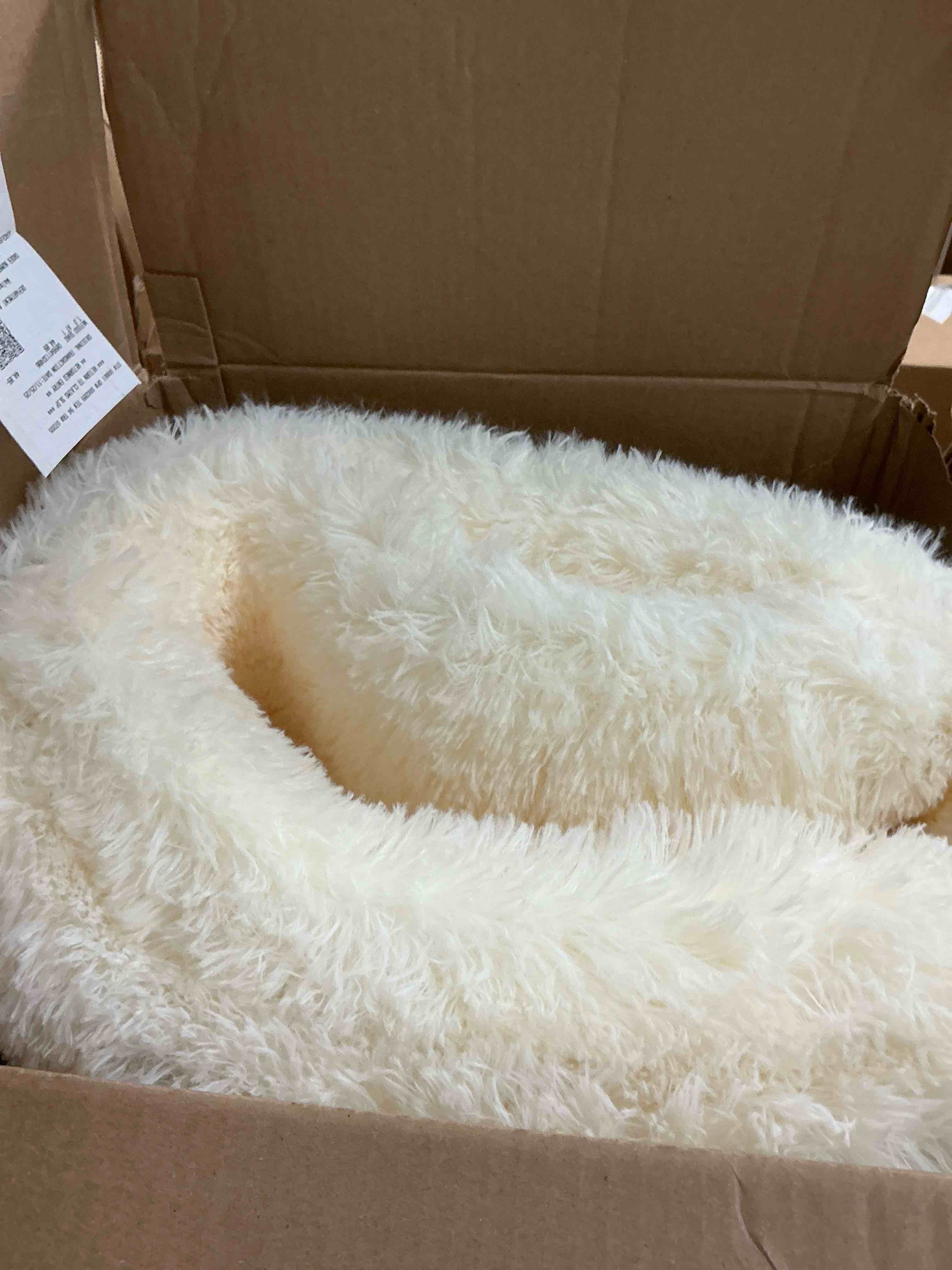 Condition photo showing Good Condition for Nefoso Shag Area Rug, 8ft x 10ft Soft Fluffy Area Rugs for Living Room Bedroom Decor Carpet, Ivory