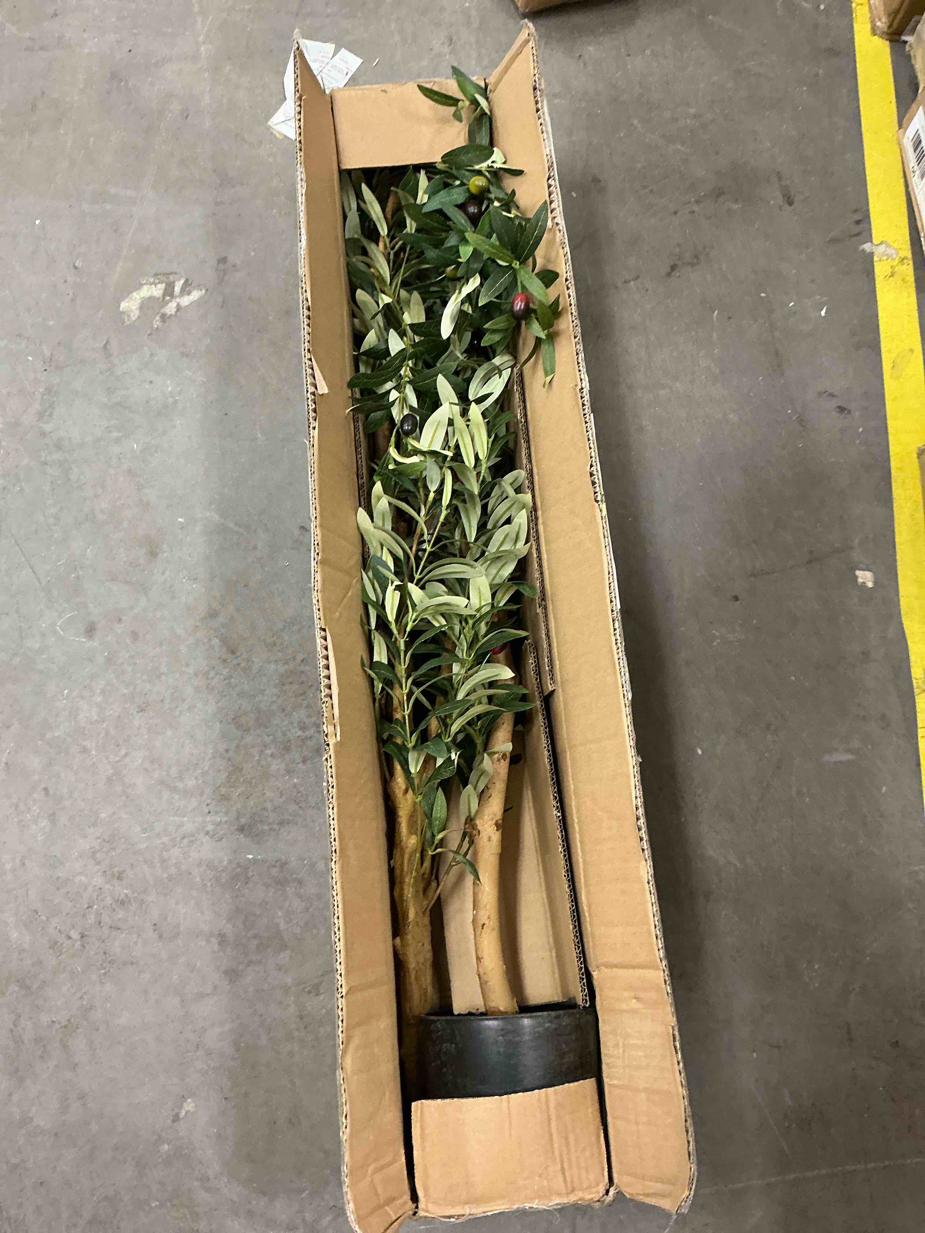Condition photo showing Good Condition for dr.planzen 6ft artificial olive tree indoor, tall faux olive tree, artificial plants with natural wood trunk and lifelike fruits for home office decor