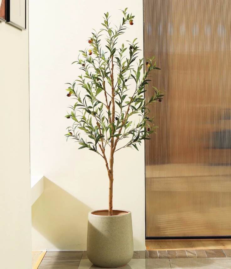 6 ft artificial olive plants with realistic leaves and natural trunk, silk fake olive tree in black plastic pot, faux olive tree for office home