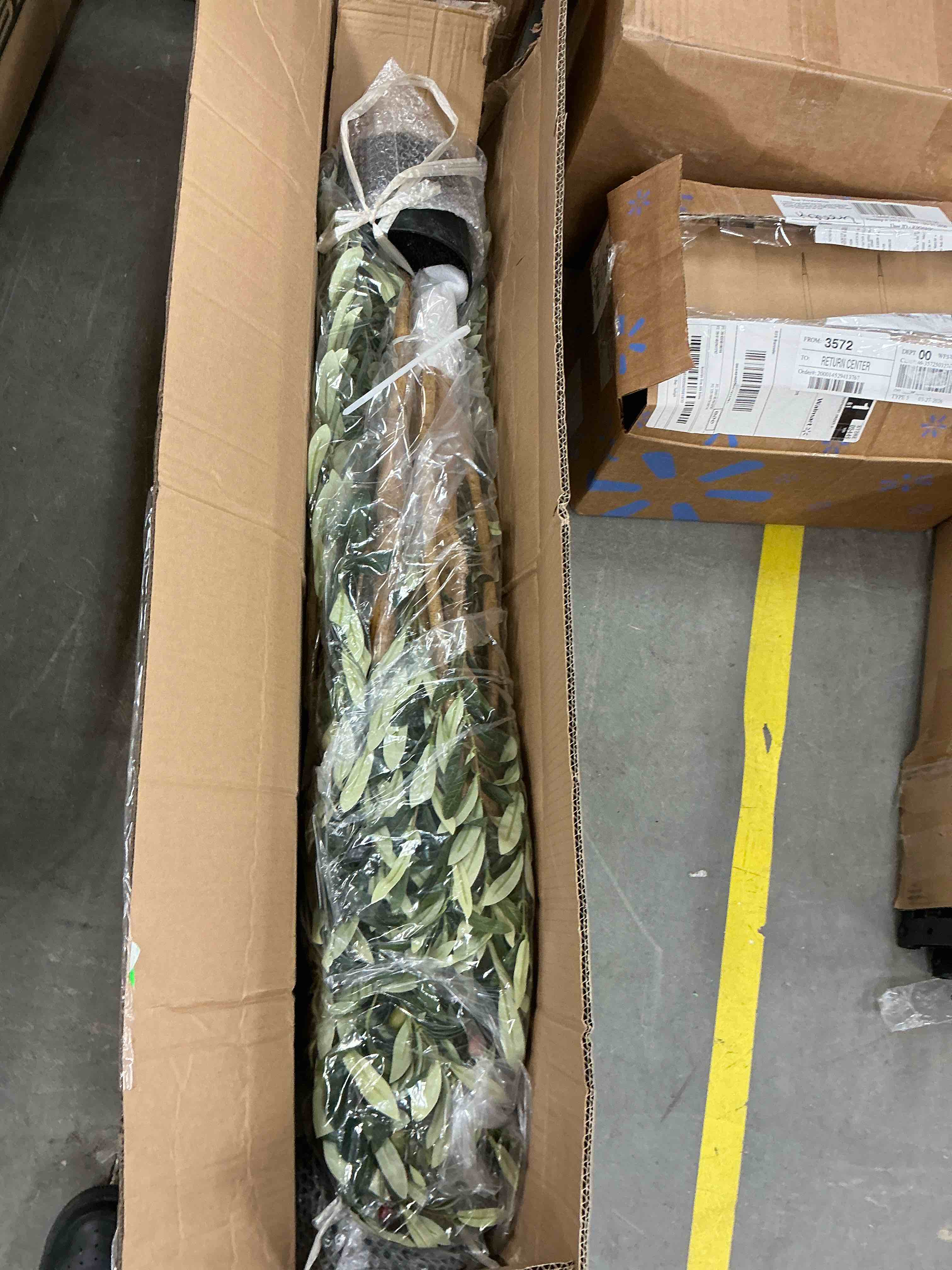 Condition photo showing Good Condition for 2 pack 6 ft artificial olive plants with realistic leaves and natural trunk, silk fake olive tree in black plastic pot, faux olive tree for office home