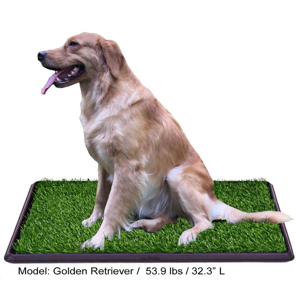lomantown fake grass dog potty pad portable dog turf trainer grass with tray  30 x20