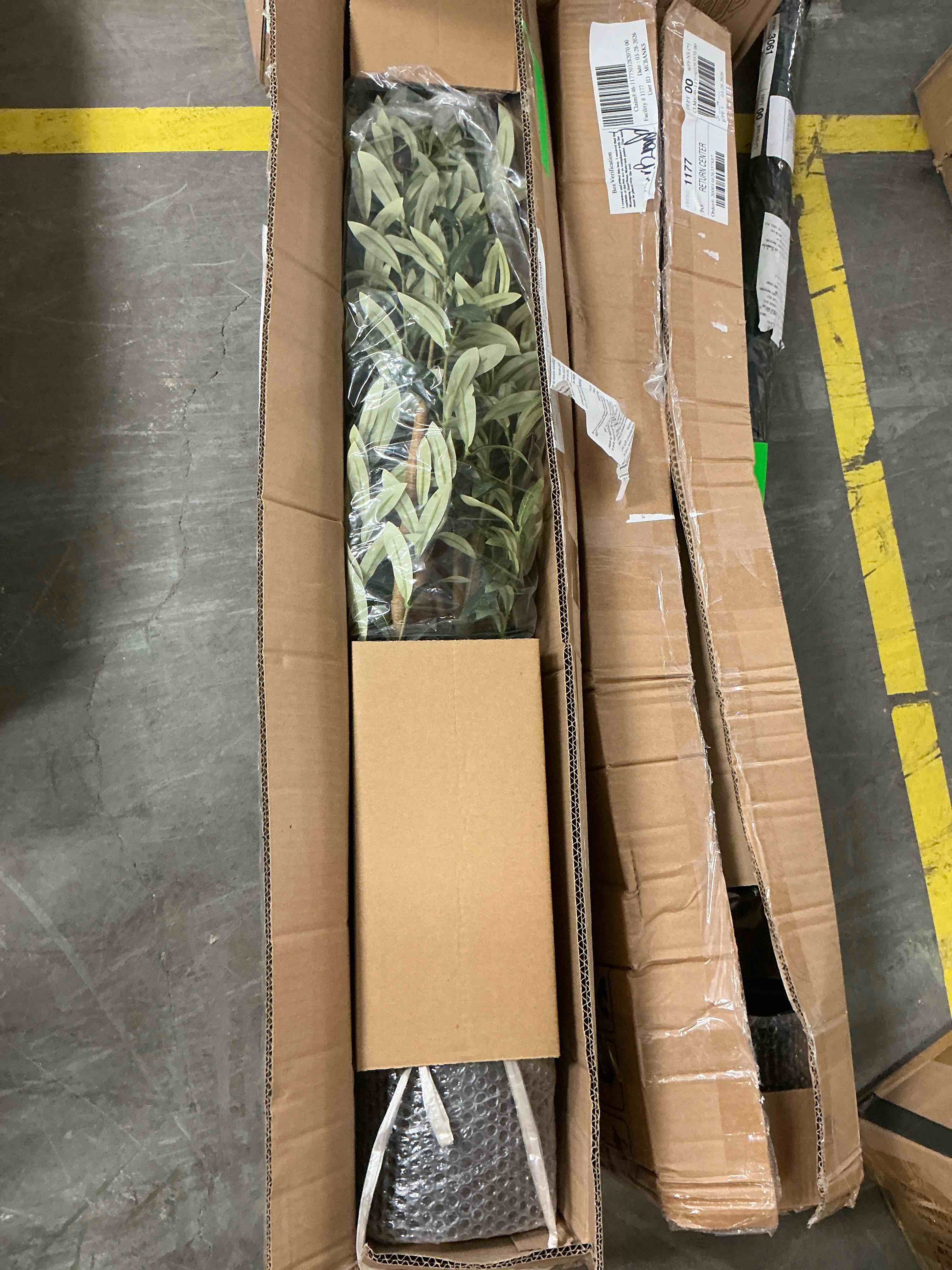 Condition photo showing New/Like New for 6 ft artificial olive plants with realistic leaves and natural trunk, silk fake olive tree in black plastic pot, faux olive tree for office home