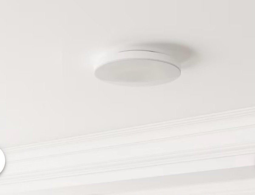  Project Source 9-in White Indoor 1 -Light LED Flush Mount Light with Plastic Shade