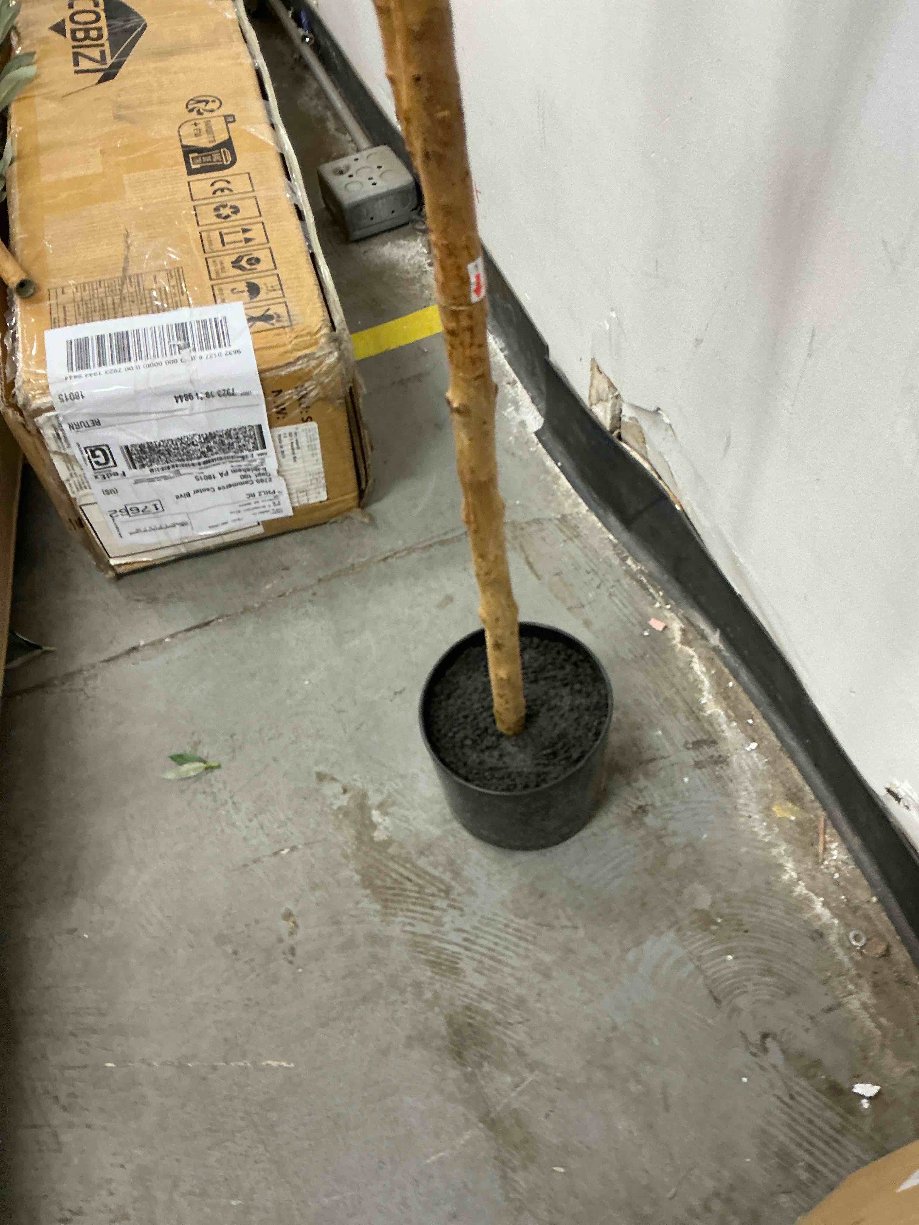 https://s3.amazonaws.com/lotting-images-prod/EmanualPiazza/BRN1308867_1778087355830.jpeg