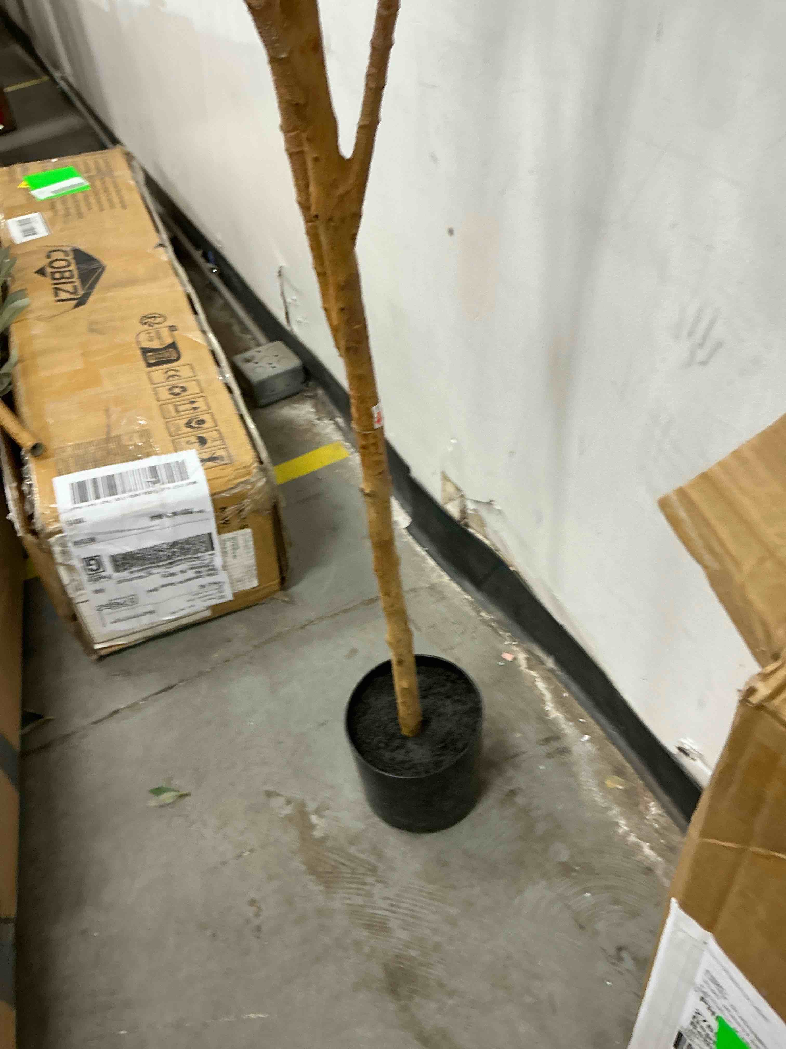 https://s3.amazonaws.com/lotting-images-prod/EmanualPiazza/BRN1308868_1778087434292.jpeg