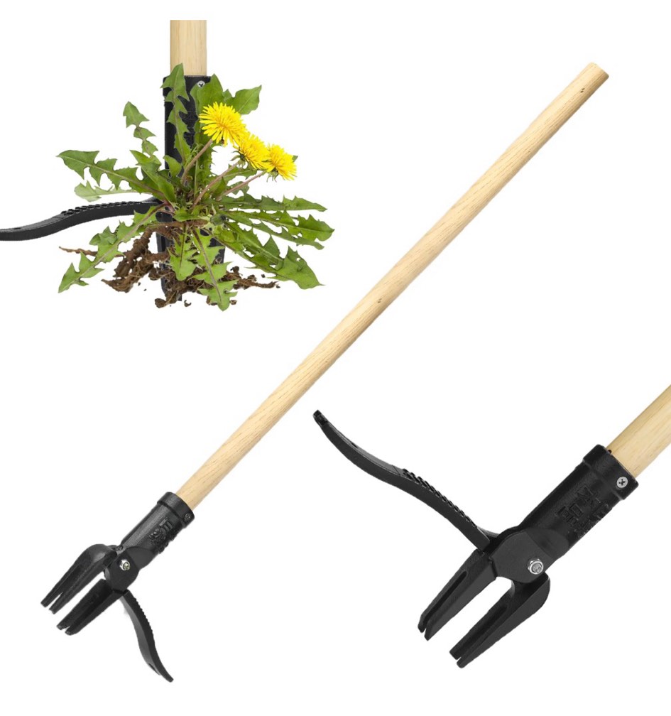 stand up weed puller tool heavy duty weeding tool with long wooden handle and 4-claw steel head