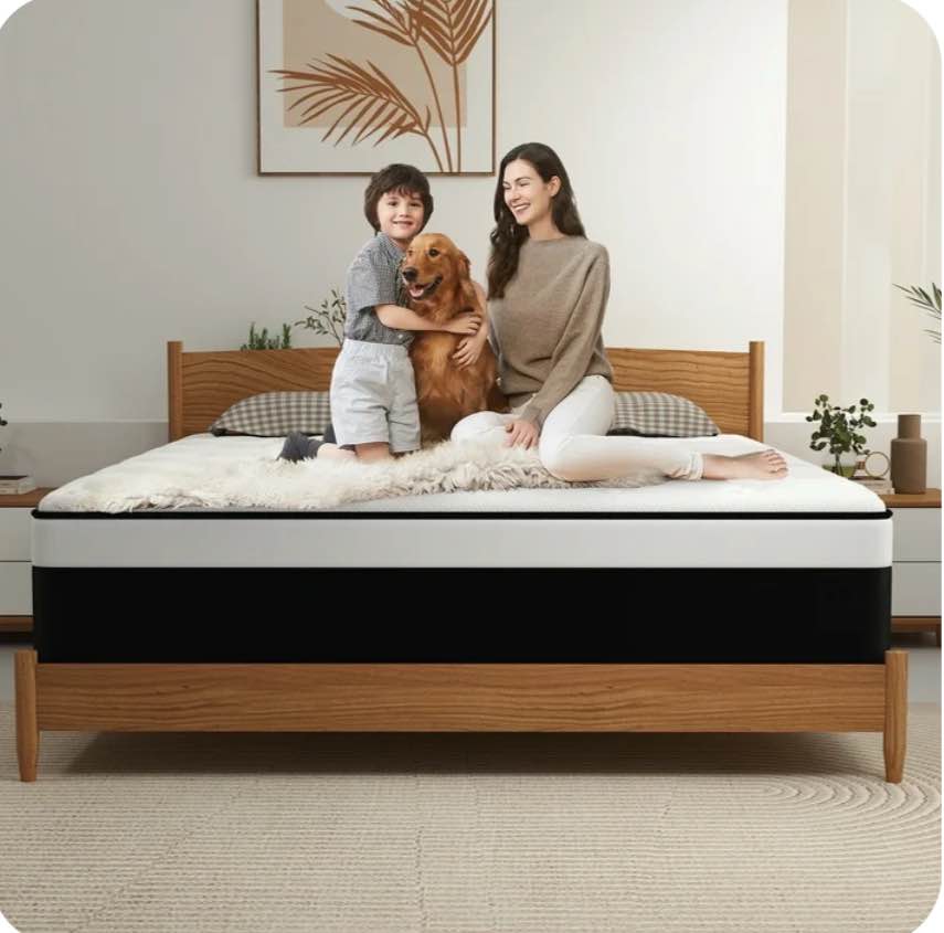 Kviwasha 14 inch Queen Mattress, Gel Memory Foam & Spring Hybrid Medium Comfort Mattress in a Box