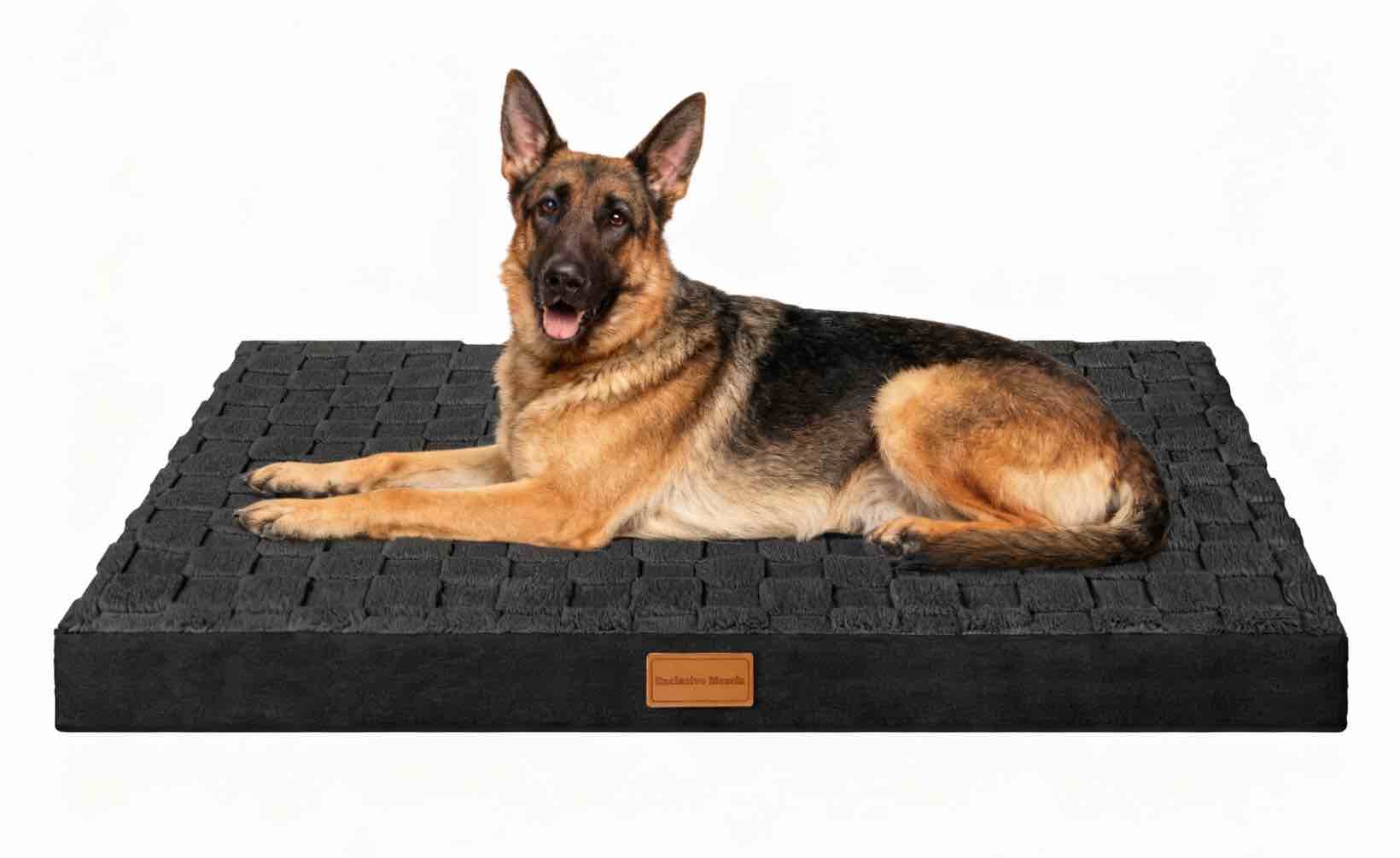 Exclusivo Mezcla Checkered Orthopedic XXL Dog Bed for Extra Large Dogs 48  X30    Waterproof Removable Washable Cover Egg Crate Foam Pet Bed Mat  Black