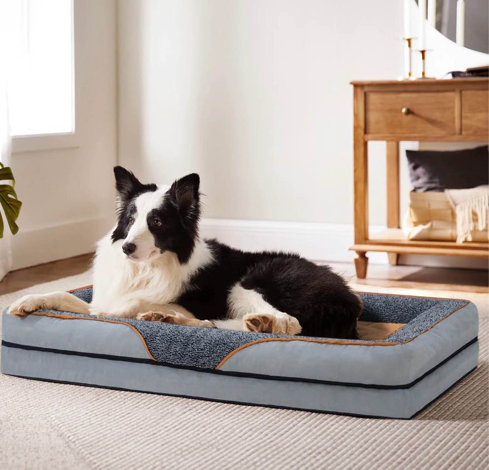 PayUSD Dog Beds for Large Dogs Orthopedic Dog Bed Sofa Large Medium Small  Supportive Egg Crate Foam Pet Couch Bed with Removable Washable Cover Non Skid Bottom S to XL  Grey