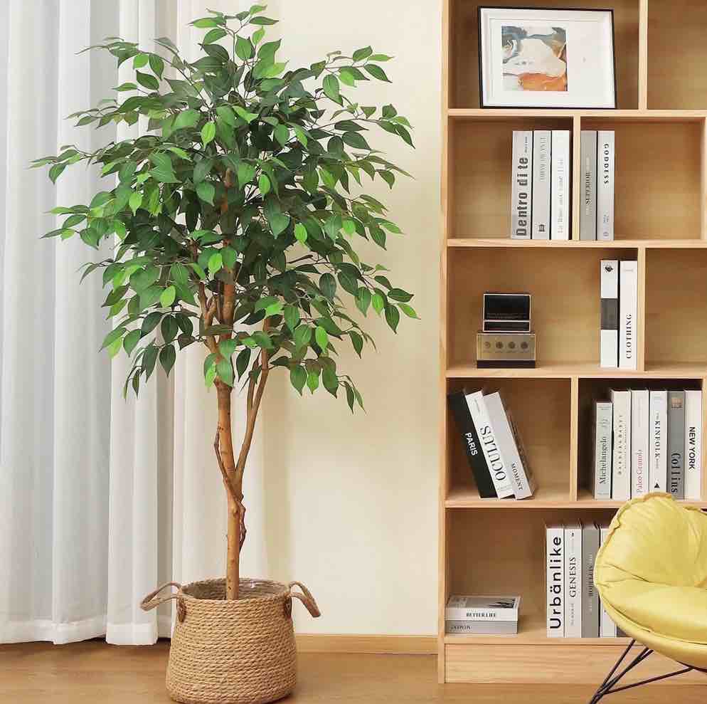 dr.planzen 5 feet artificial ficus tree, tall lifelike greenery with natural wood trunk for living room, office floor and corner decor