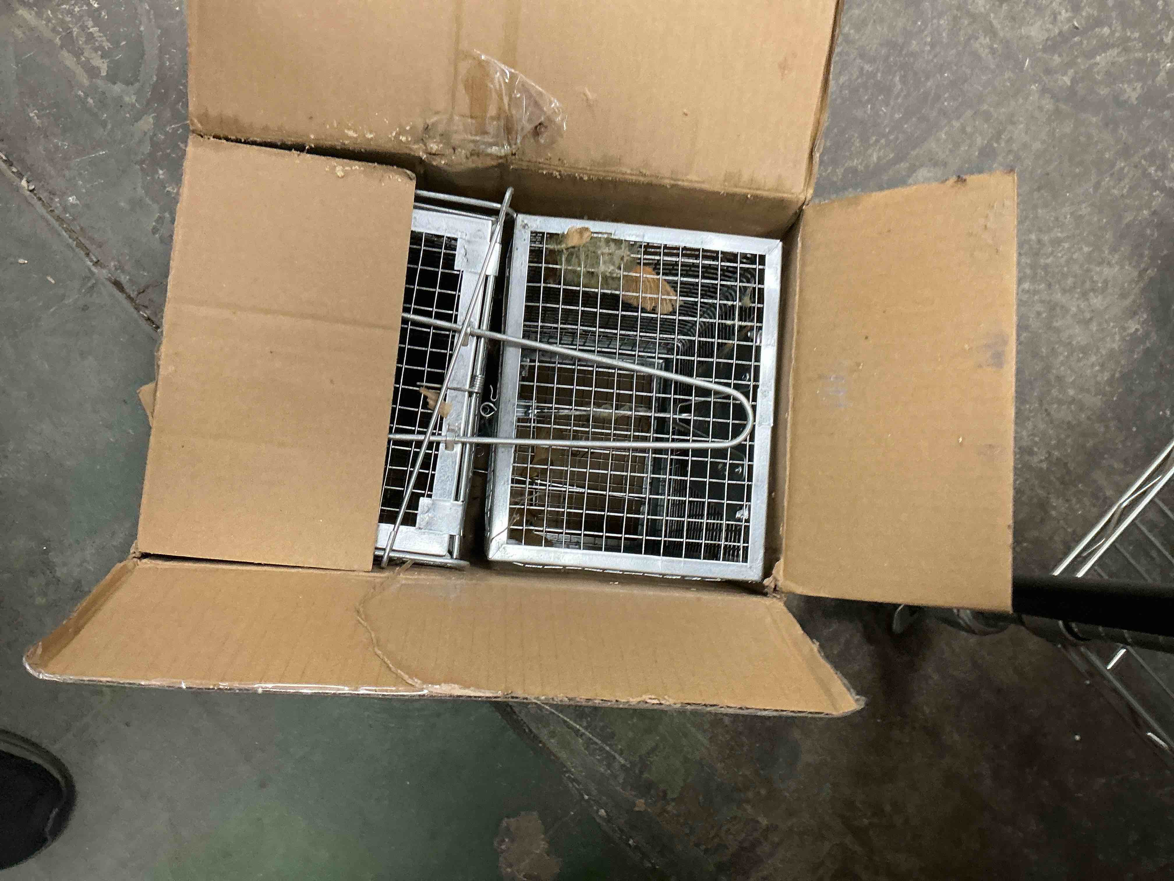 https://s3.amazonaws.com/lotting-images-prod/EmanualPiazza/BRN3700336_1754146452055.jpeg