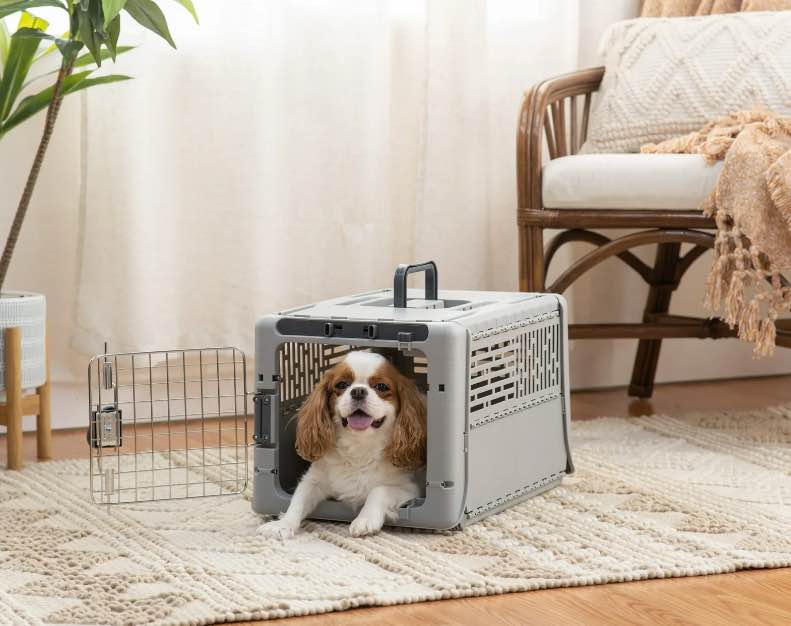 Sport Pet Designs 19" Collapsible Plastic Dog Kennel, Gray, XS