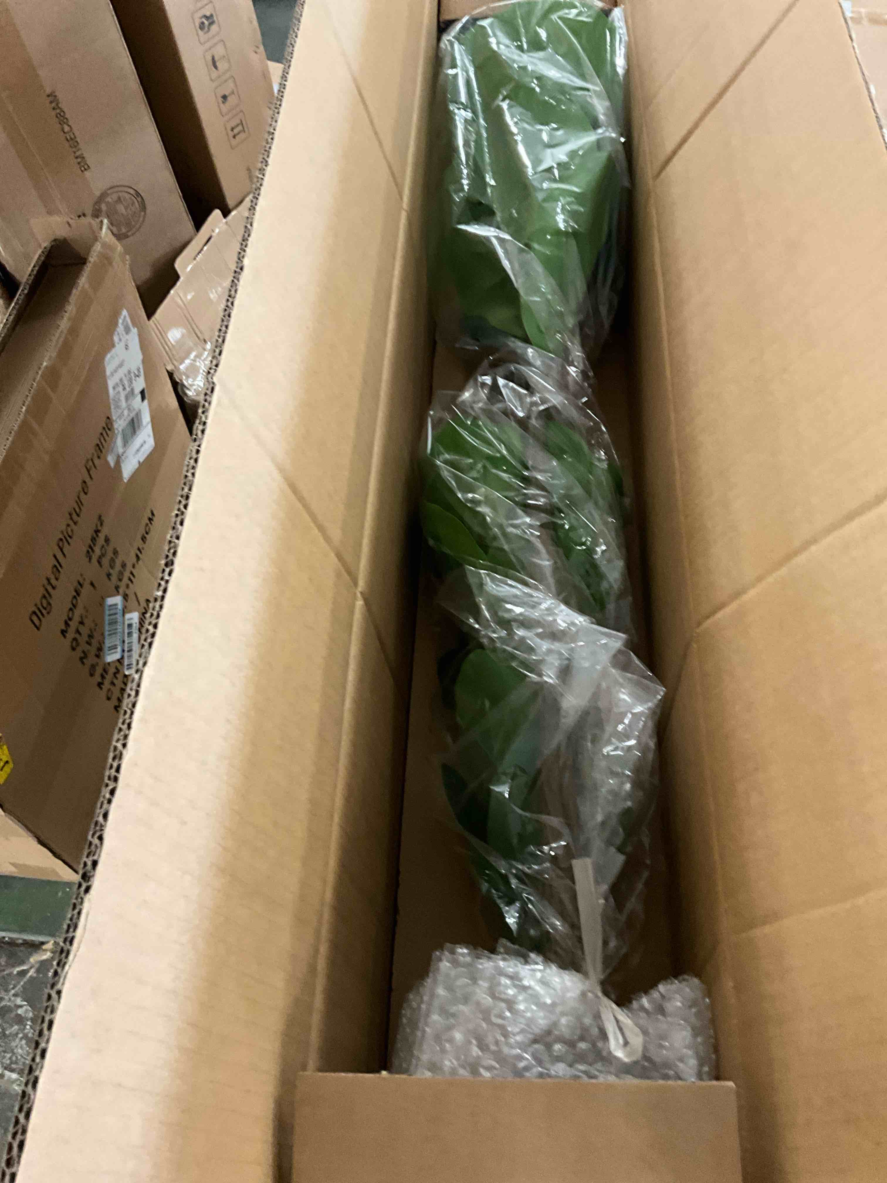 https://s3.amazonaws.com/lotting-images-prod/EmanualPiazza/BRN3701449_1755723155845.jpeg