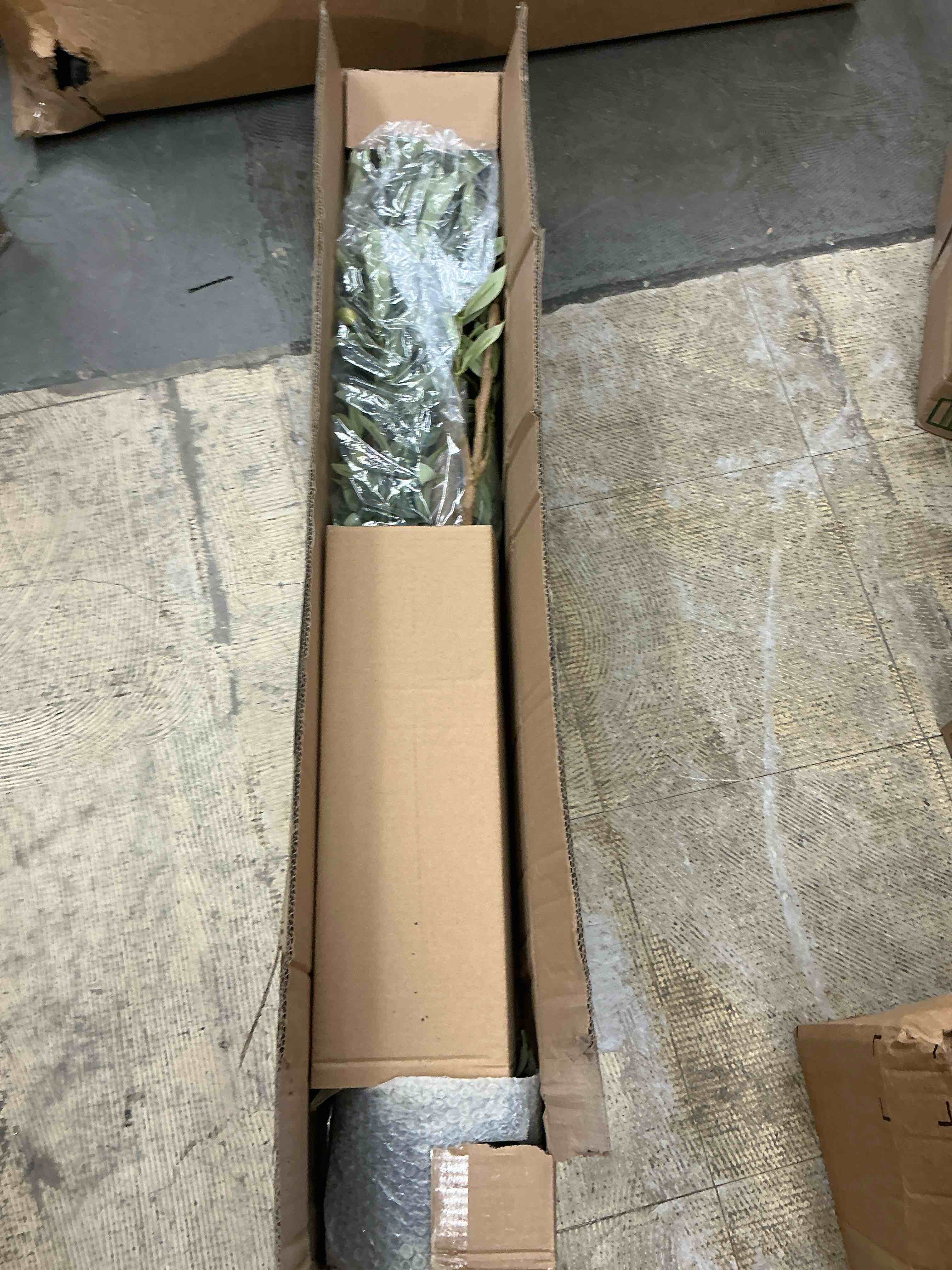 https://s3.amazonaws.com/lotting-images-prod/EmanualPiazza/BRN3702254_1756828037872.jpeg