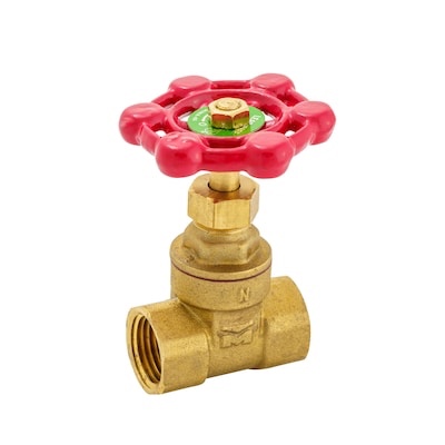 RELIABILT 1/2-in FIP Brass Gate Valve