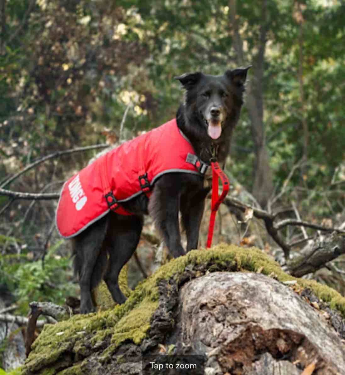 KONG Red Rip-Stop Dog Blanket Coat, Large, Red