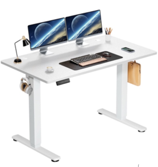 edx Electric Standing Desk, Height Adjustable Desk, 48 x 24 Inches Ergonomic Stand up Desk with Memory Preset and T-Shaped Metal Bracket for Home Office