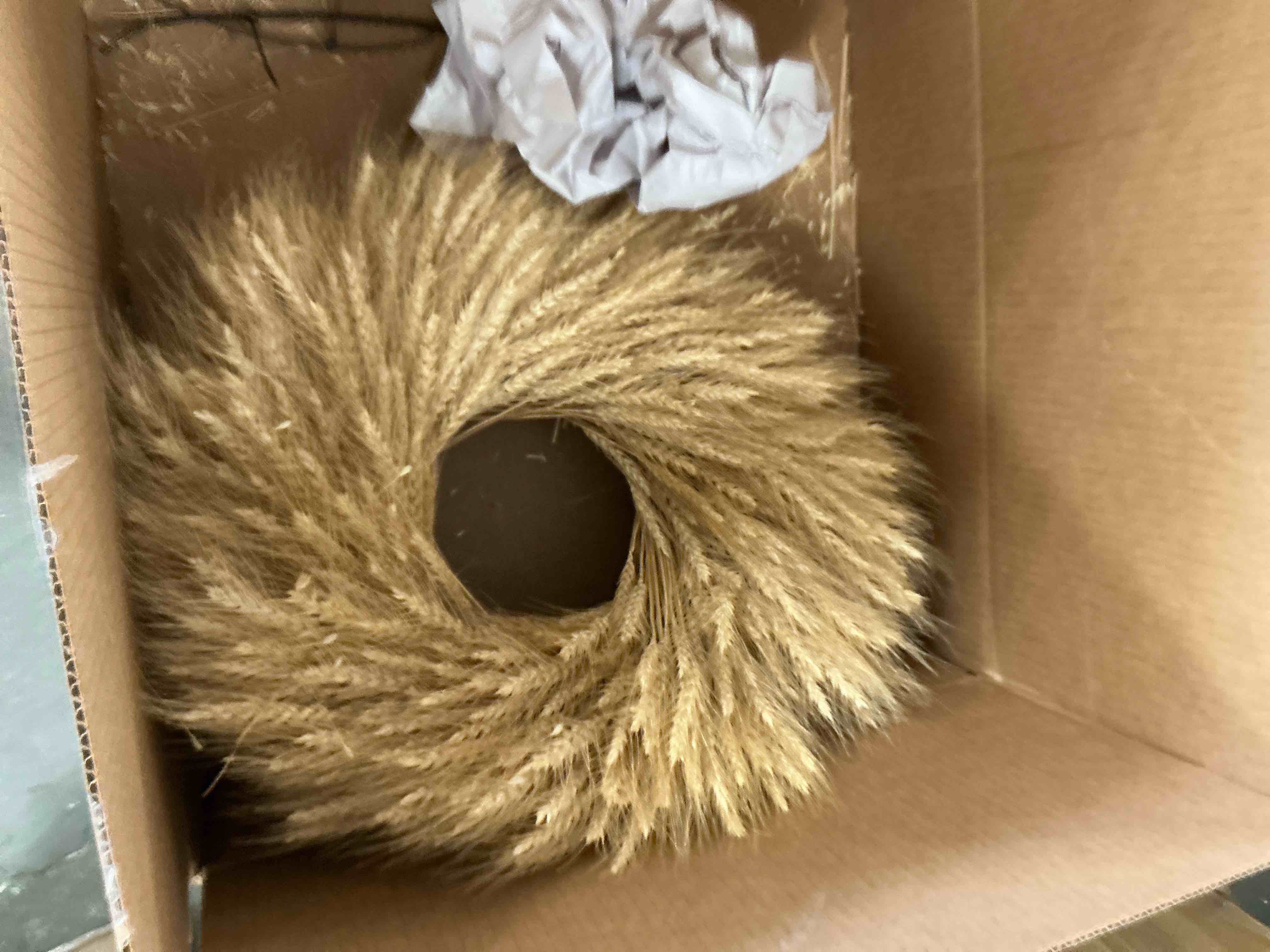 https://s3.amazonaws.com/lotting-images-prod/EmanualPiazza/BRN3709234_1758052075666.jpeg