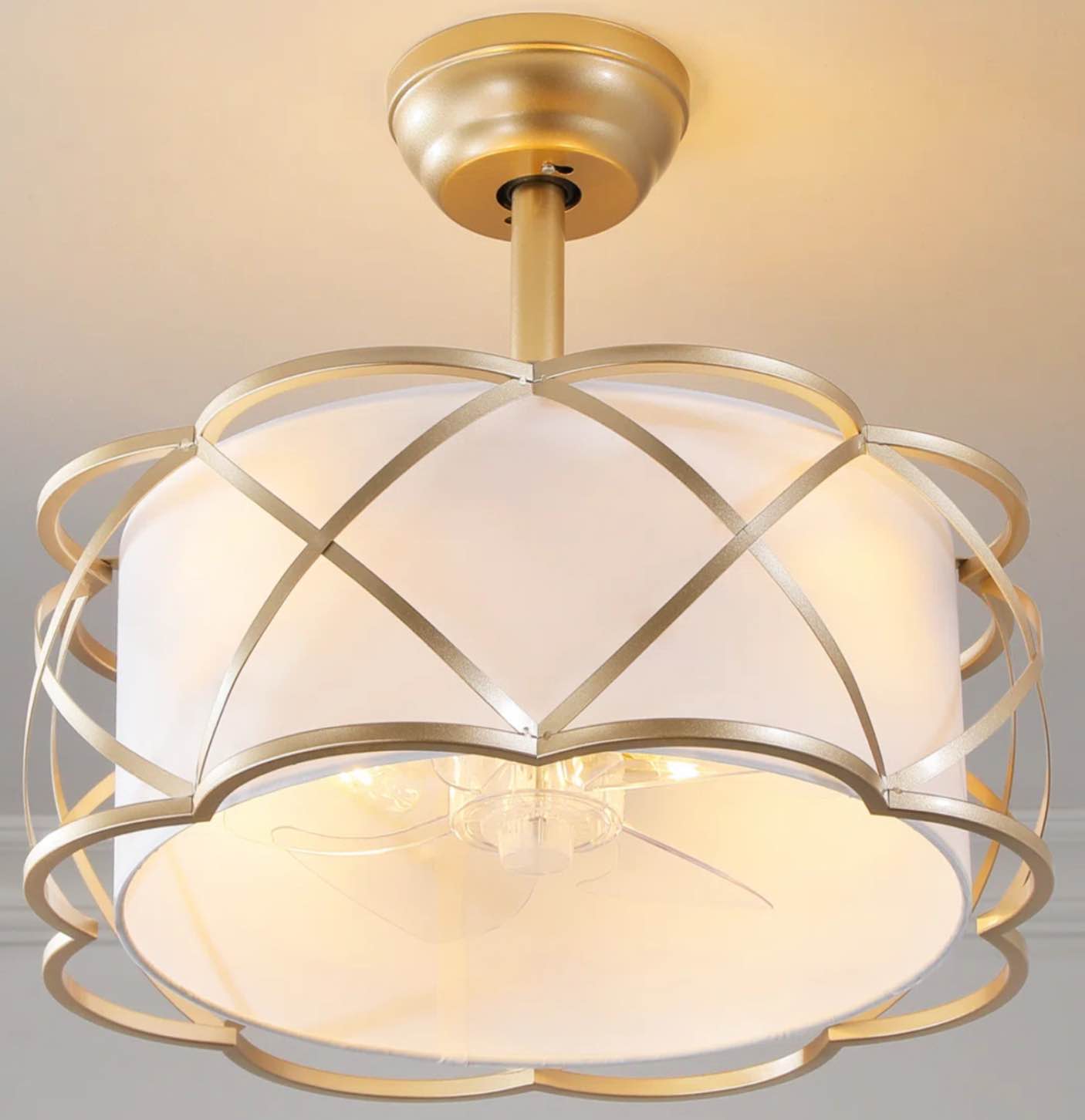 19'' modern ceiling fan with light