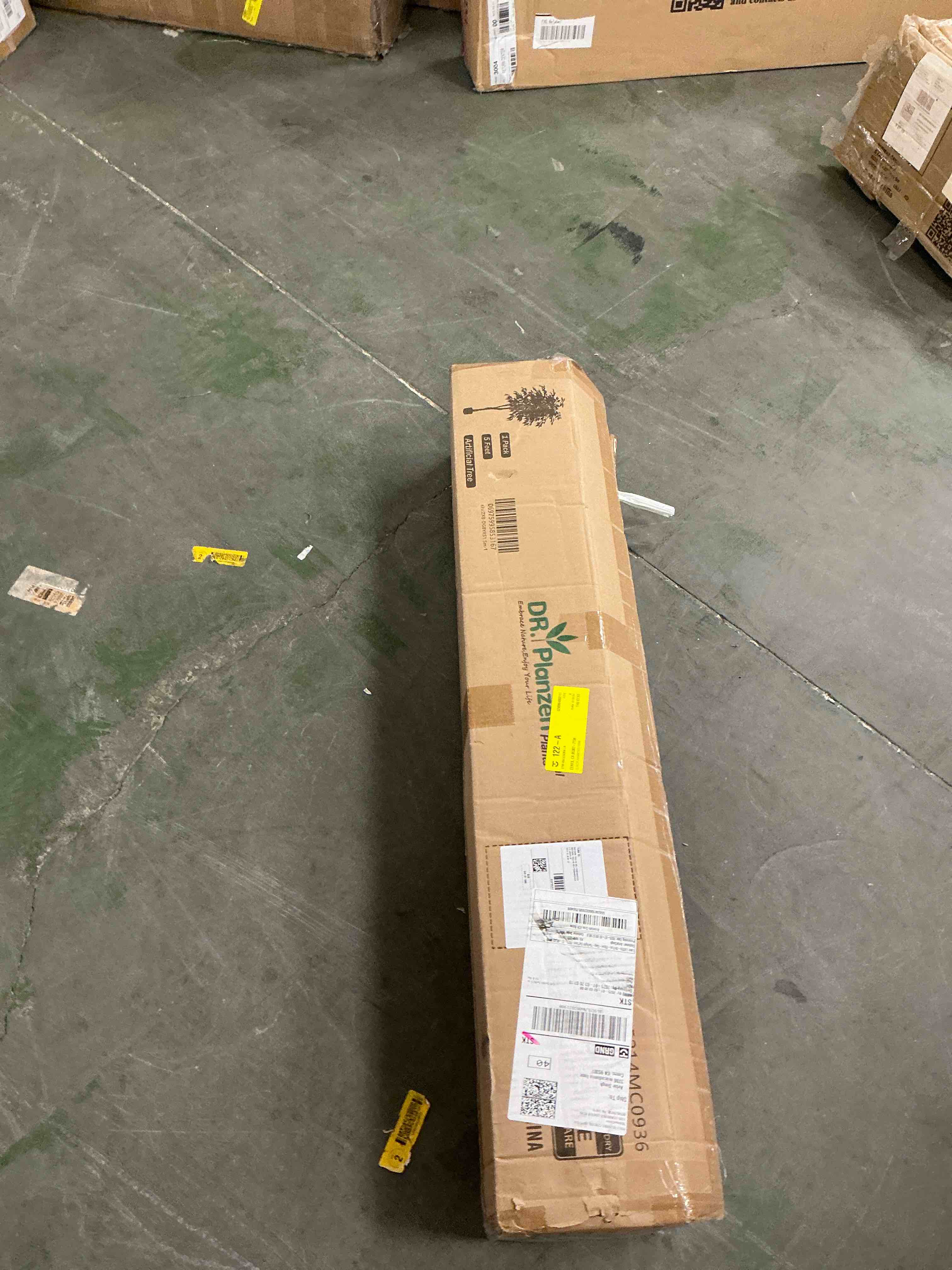 https://s3.amazonaws.com/lotting-images-prod/EmanualPiazza/BRN3710489_1760715813623.jpeg