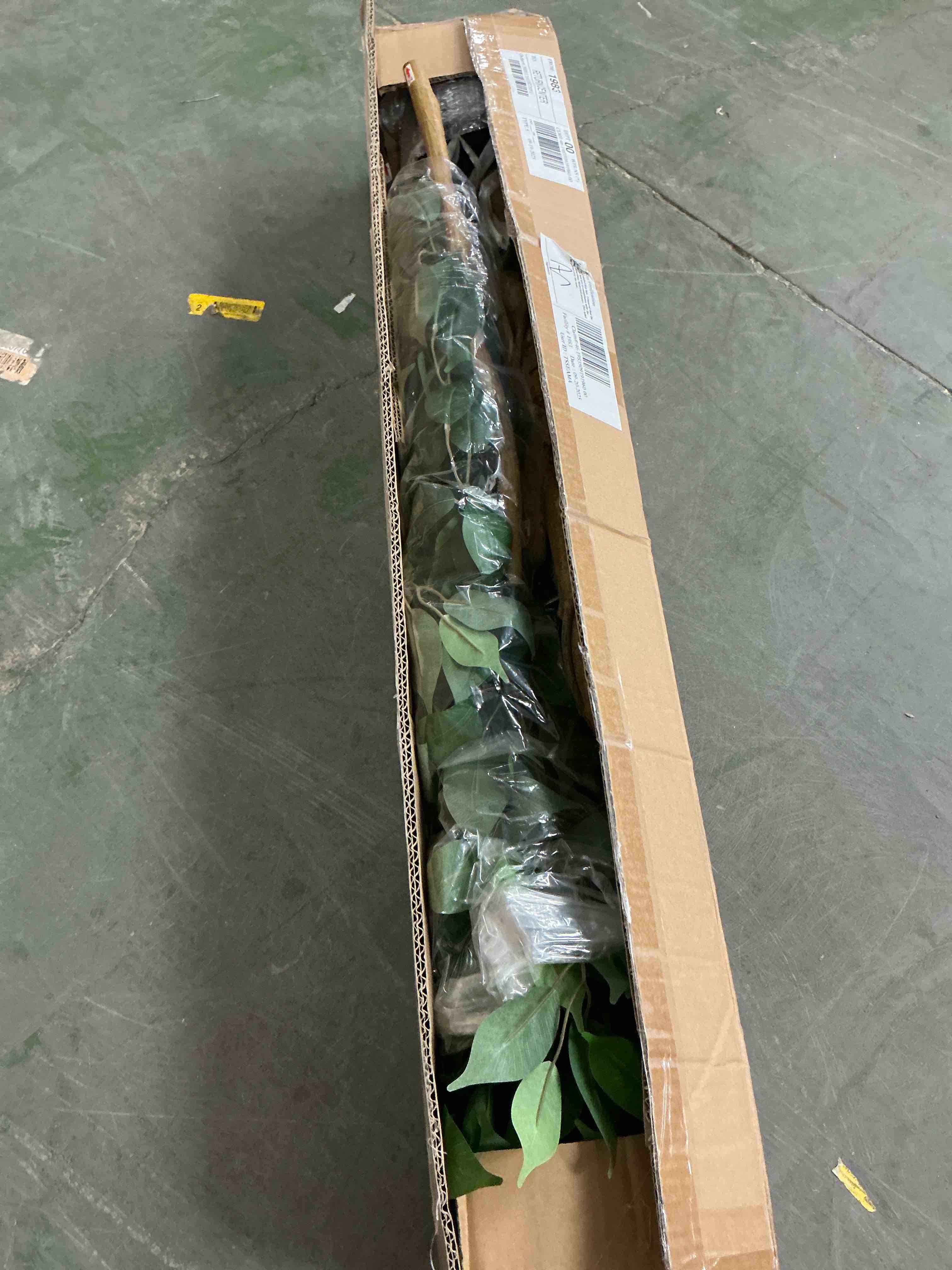 https://s3.amazonaws.com/lotting-images-prod/EmanualPiazza/BRN3710489_1760715822477.jpeg