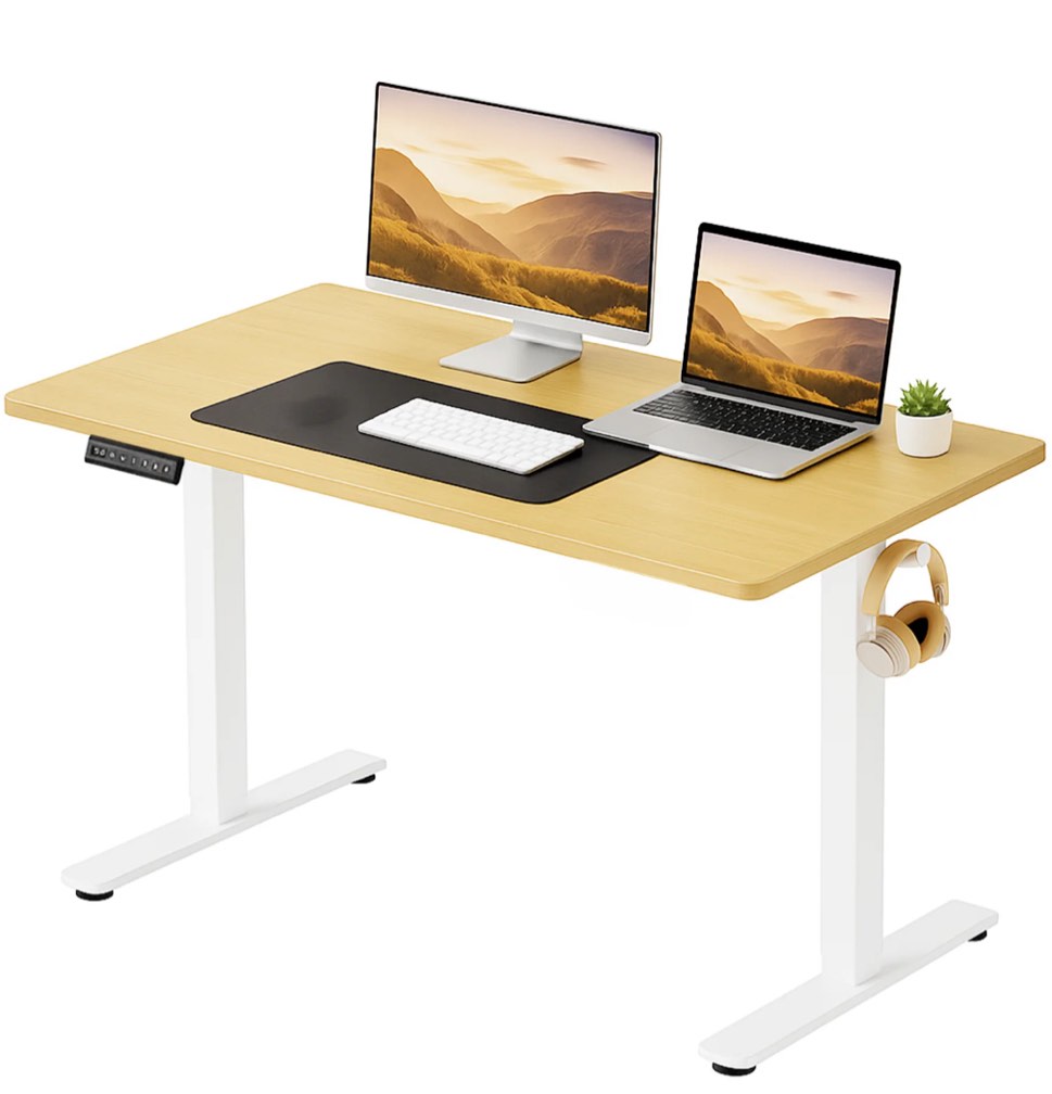CONCETTA Electric Standing Desk, 48''x24'' Height Adjustable Desk, Home Office Desk with Electric Lift, Sit Stand Desk Workstation for Home Office, Oak