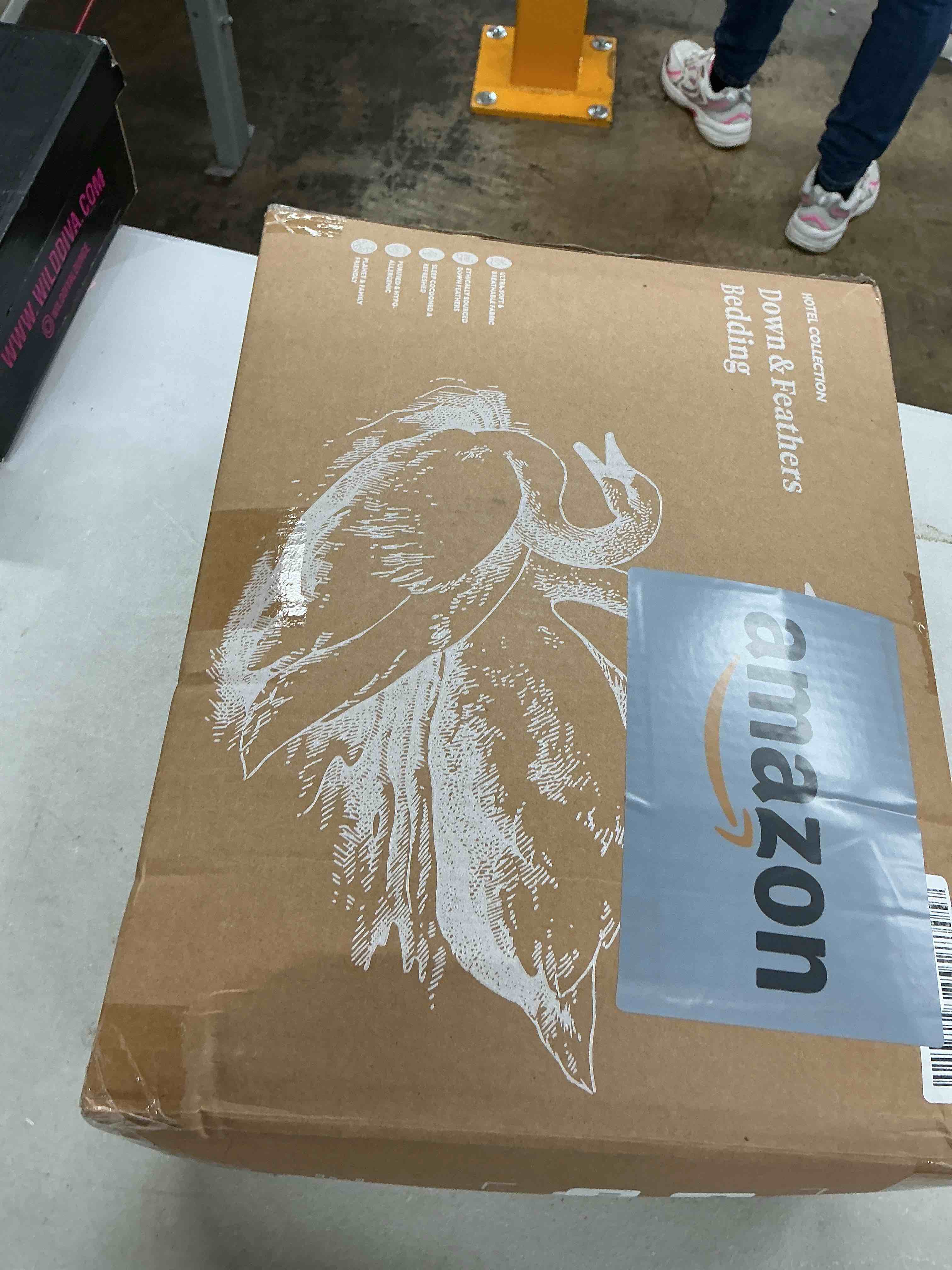 https://s3.amazonaws.com/lotting-images-prod/EmanualPiazza/BRN3760419_1779370845699.jpeg