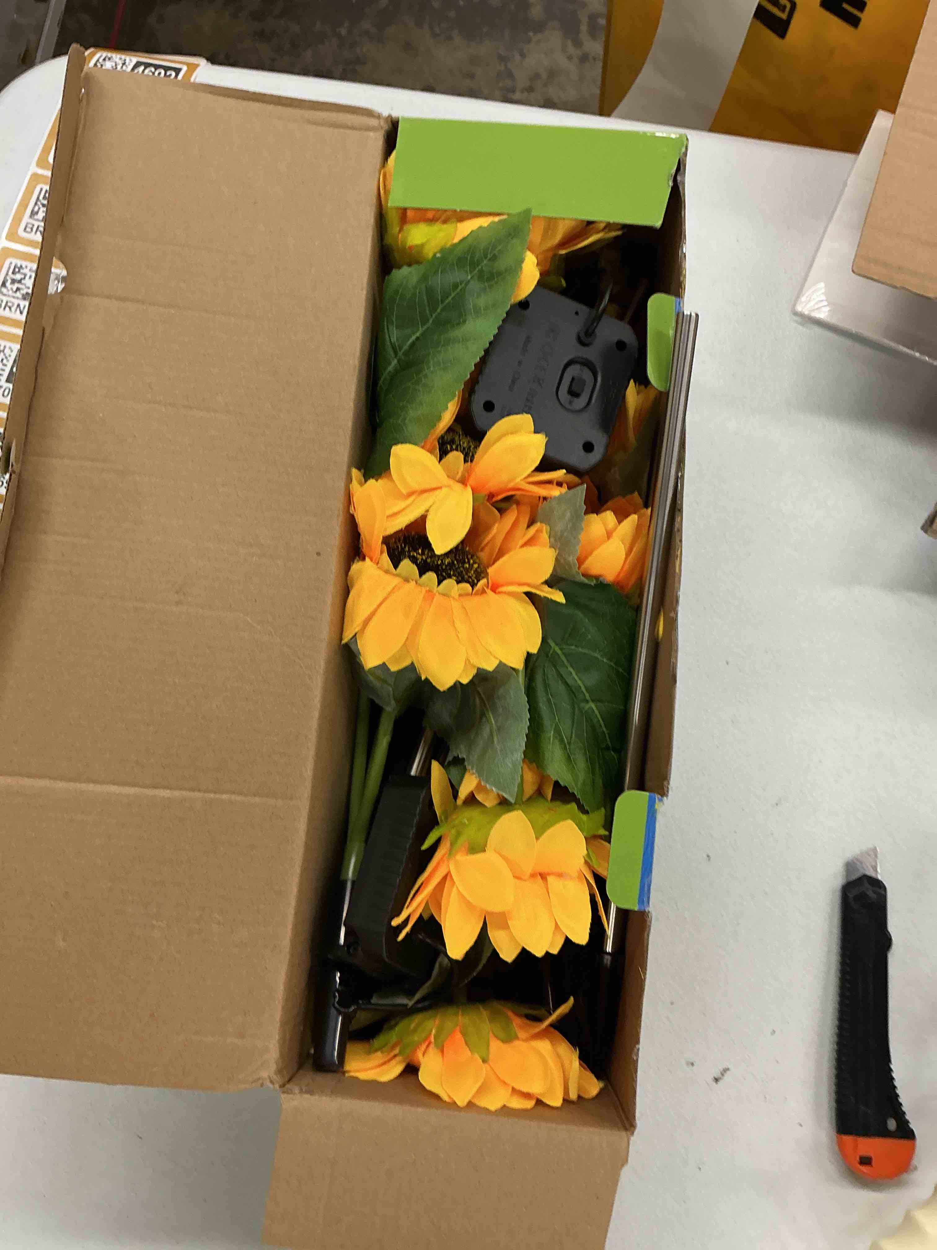 https://s3.amazonaws.com/lotting-images-prod/EmanualPiazza/BRN7054708_1789412083250.jpeg