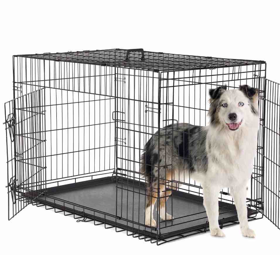 concetta 42 inch double-door folding dog crate, portable small cage with divider, leak-proof tray