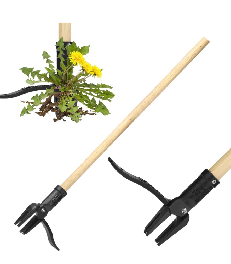 stand up weed puller tool heavy duty weeding tool with long wooden handle and 4-claw steel head
