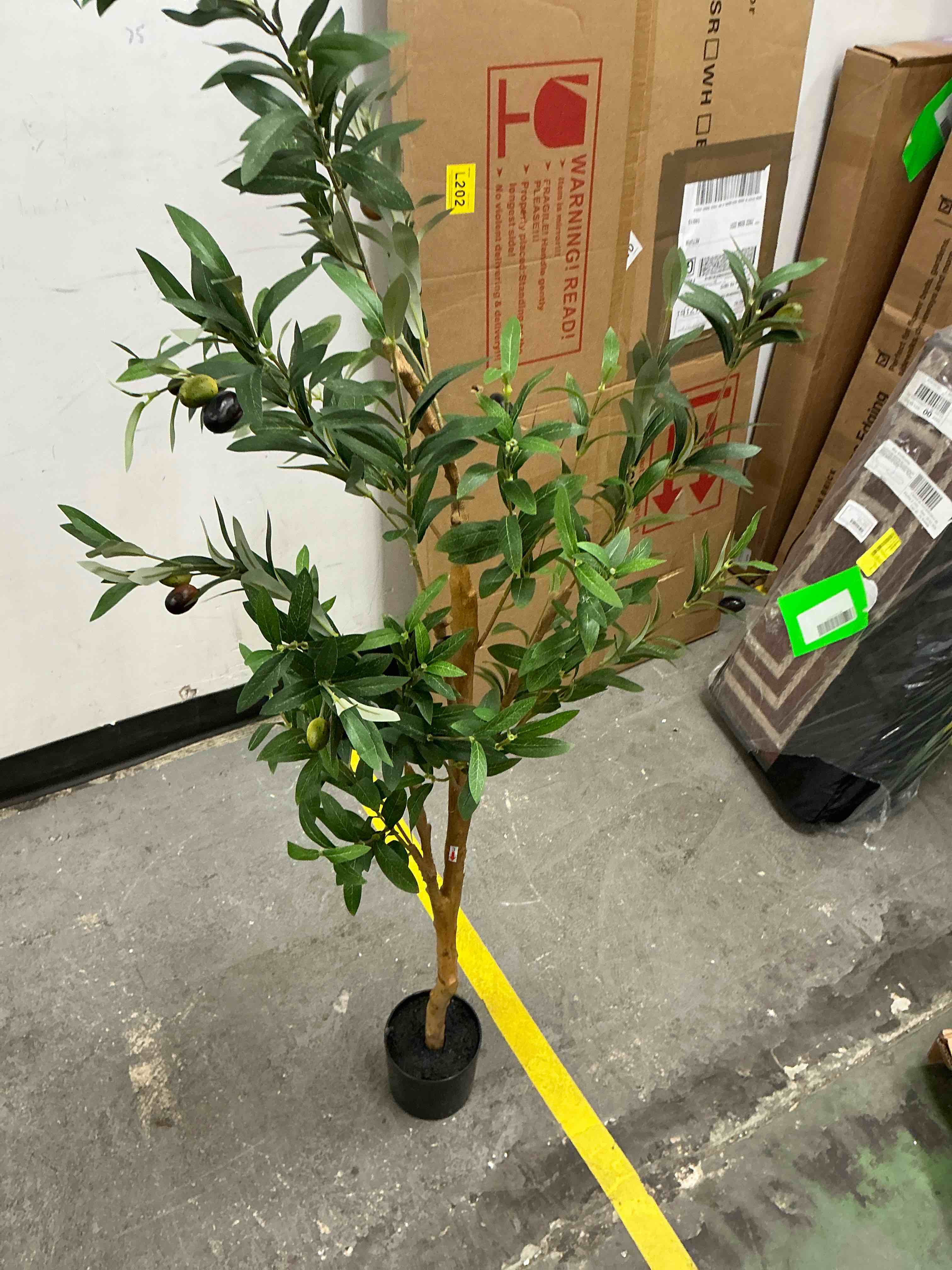 https://s3.amazonaws.com/lotting-images-prod/EmanualPiazza/GRA1937654_1779977352414.jpeg