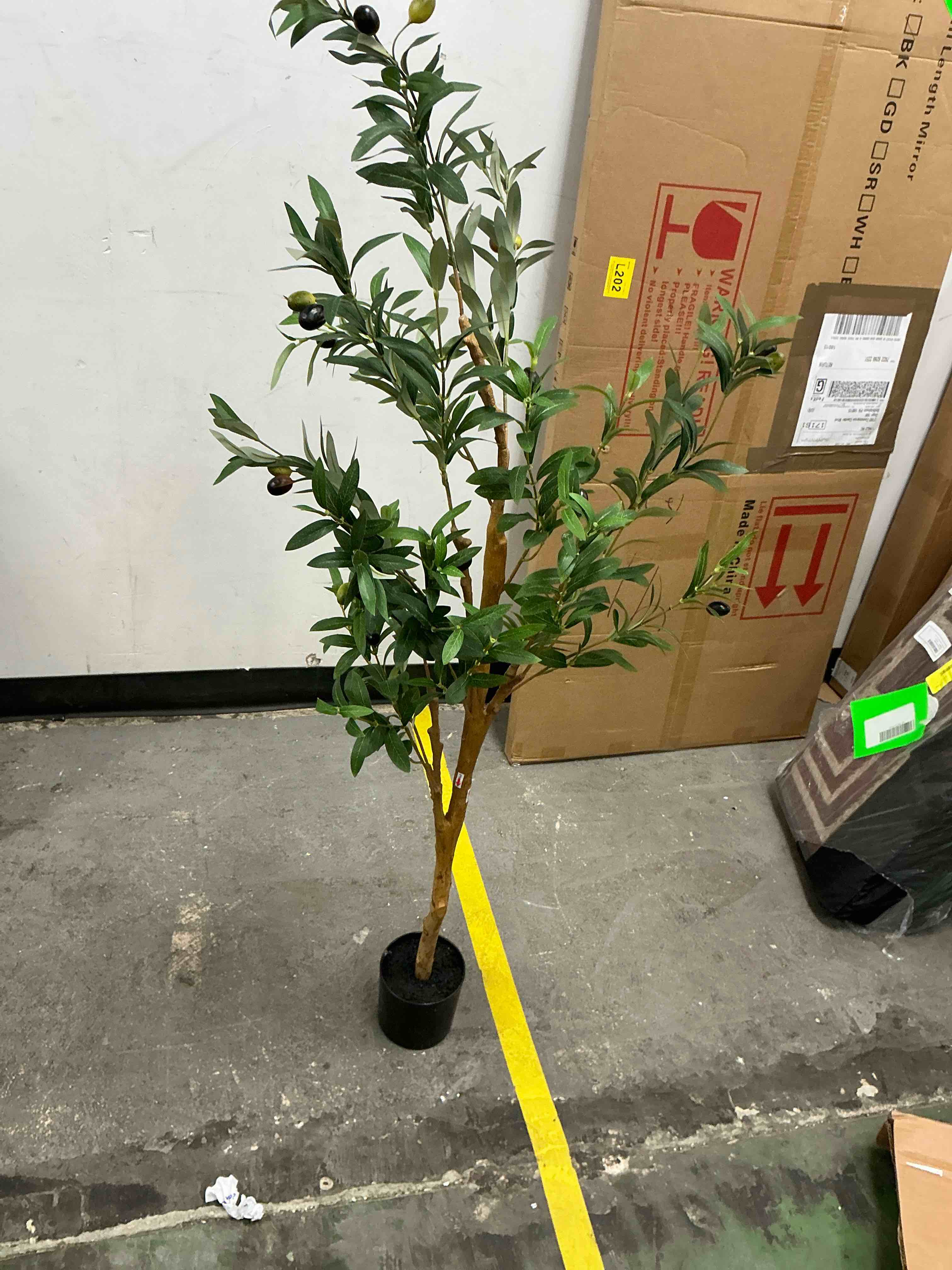 https://s3.amazonaws.com/lotting-images-prod/EmanualPiazza/GRA1937654_1779977431626.jpeg