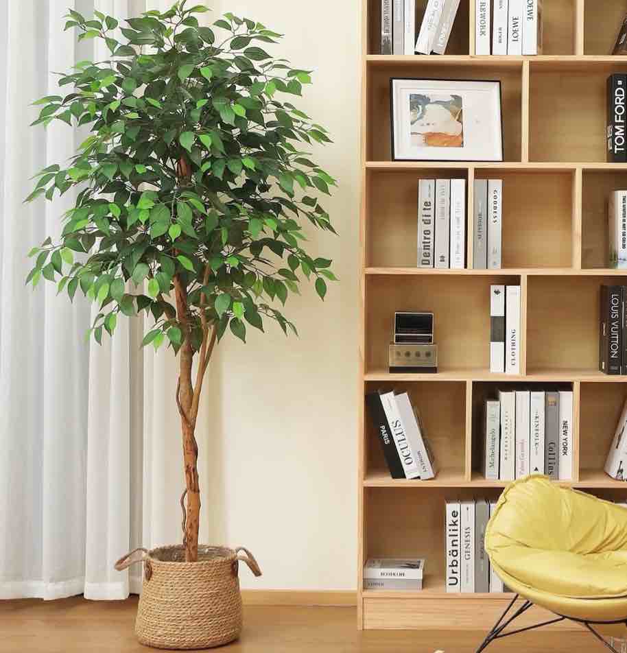 dr.planzen 6 feet artificial ficus tree, tall lifelike greenery with natural wood trunk for living room, office floor and corner decor