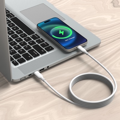 Utilitech 4-ft USB-C Lightning White Cable