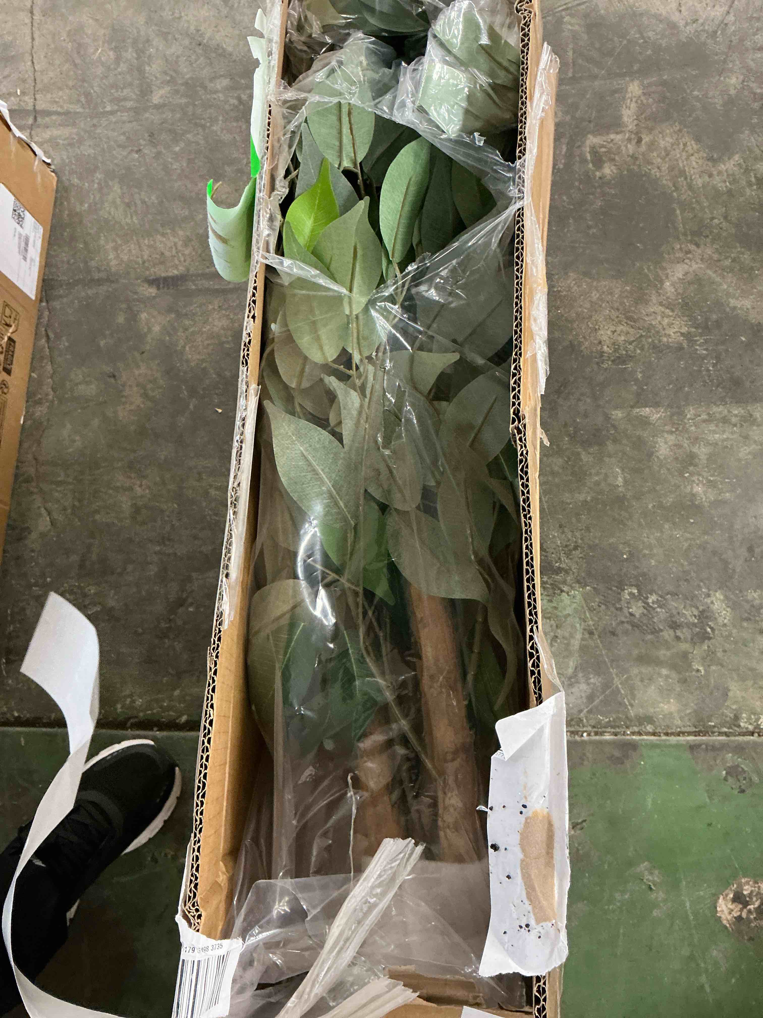 Condition photo showing Good Condition for 7ft artificial ficus tree with natural wood trunk and lifelike leaves, silk fake potted tree with wood branches, faux tree for office home decor