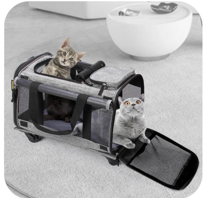 Condition photo showing Good Condition for mexmiody pet carrier with wheels, airline approved dog cat carrier for medium small dogs, pet travel rolling carrier, telescopic handle, grey