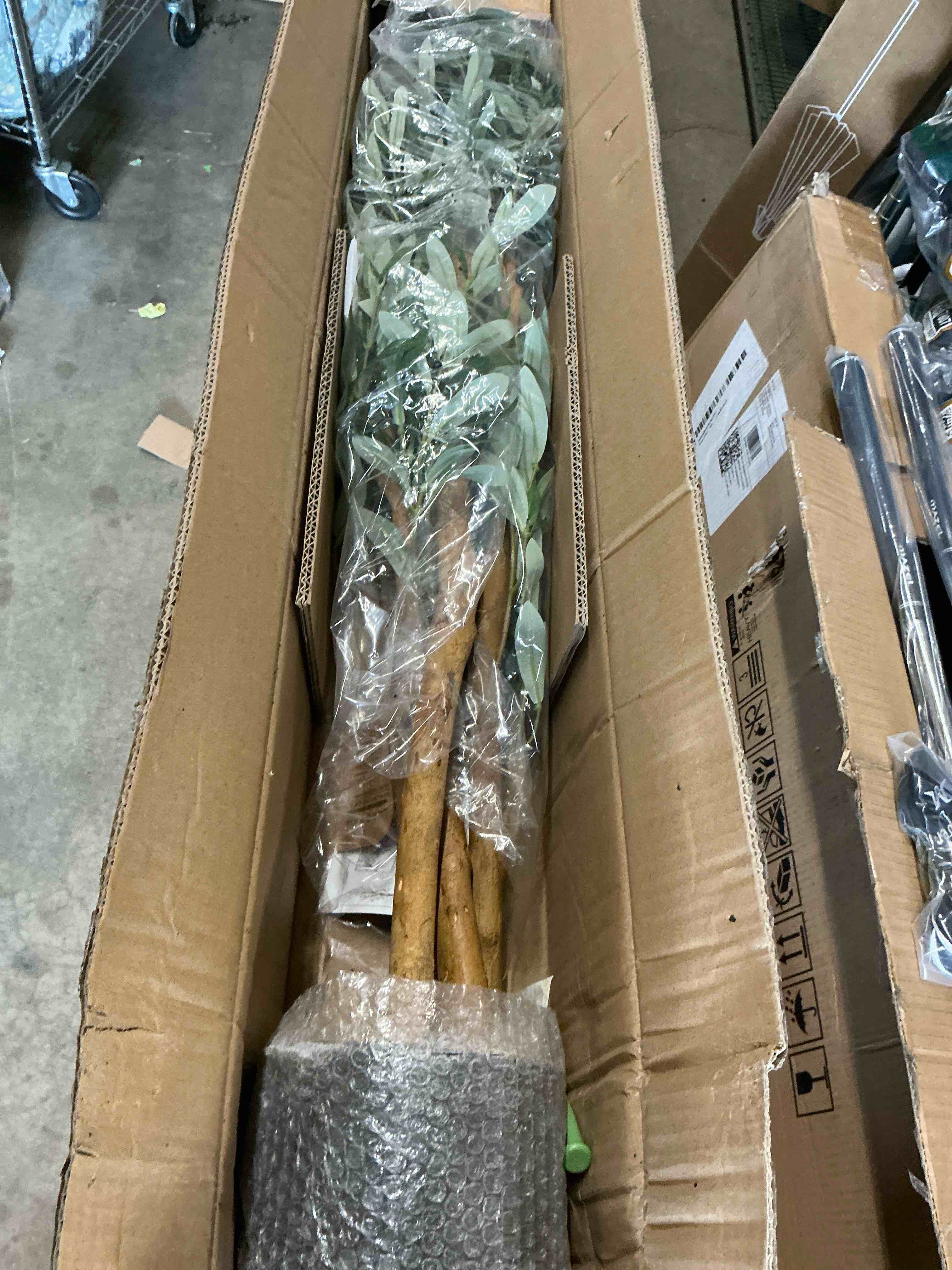 https://s3.amazonaws.com/lotting-images-prod/EmanualPiazza/GRA1944902_1777485511509.jpeg