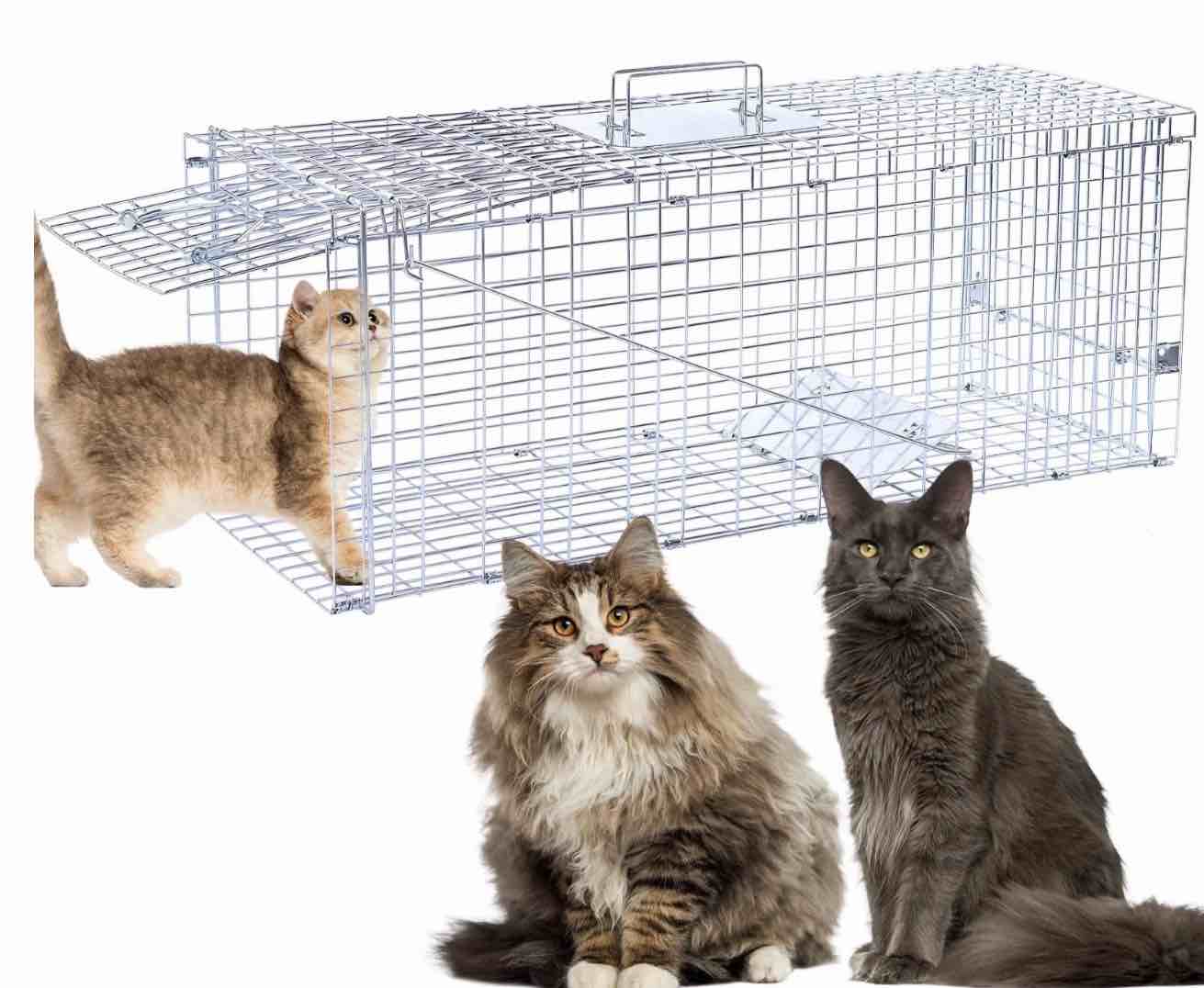 32" live animal traps,humane animal trap for stray cats up to 16.5 pounds, raccoons, squirrel,rabbit,steel foldable with pedal triggers