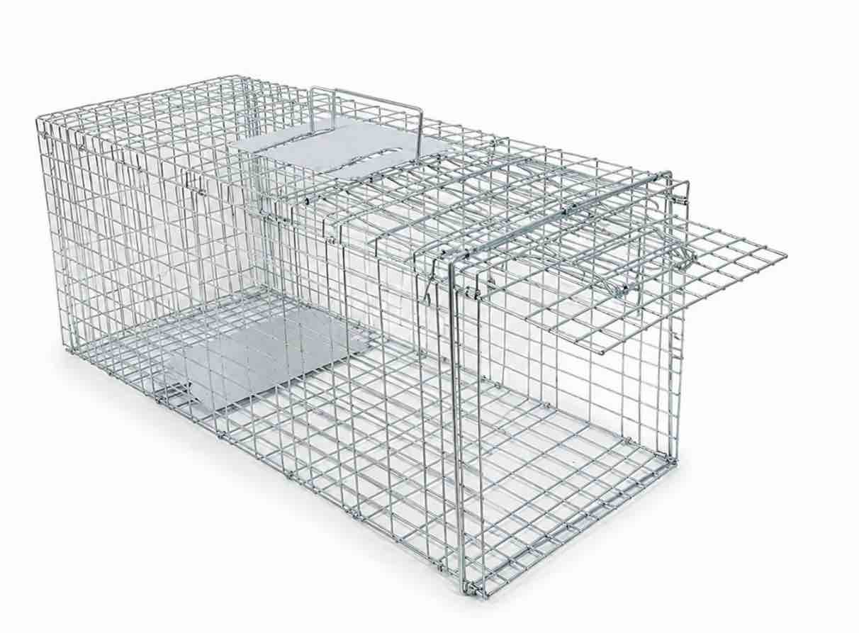 humane squirrel trap, catch and release live animal trap, galvanized wire cage for garden pest control