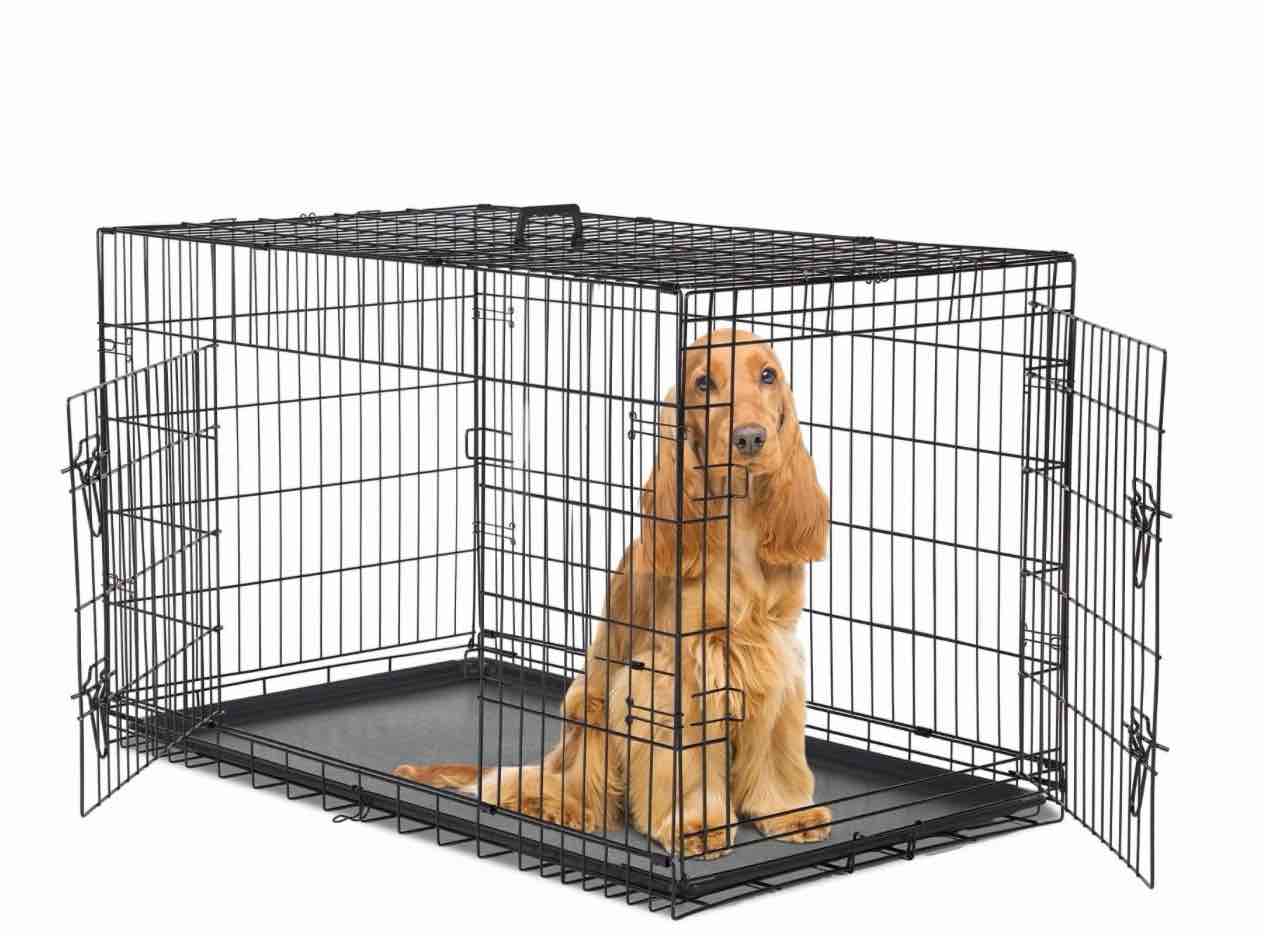 concetta 48 inch double-door folding dog crate, portable small cage with divider, leak-proof tray