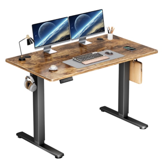 edx Electric Standing Desk, Height Adjustable Desk, 48 x 24 Inches Ergonomic Stand up Desk with Memory Preset and T-Shaped Metal Bracket for Home Office