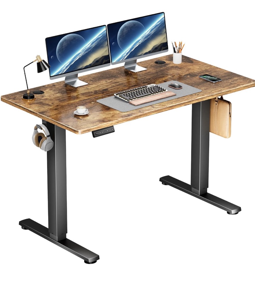 edx Electric Standing Desk, Height Adjustable Desk, 48 x 24 Inches Ergonomic Stand up Desk with Memory Preset and T-Shaped Metal Bracket for Home Office