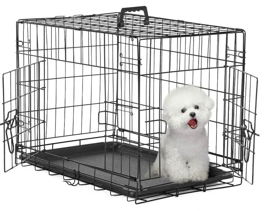 EDX Small Dog Crate with Divider Panel, 24" Double Door Folding Metal Wire Dog Cage with Plastic Leak-Proof Pan Tray