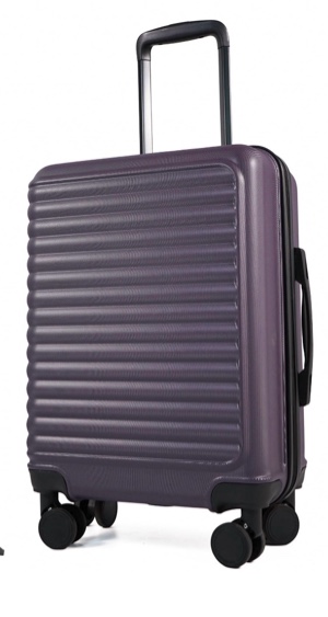 Travelhouse Hardshell Carry on Luggage 20" Lightweight Hardside Suitcase with Spinner Wheels.(Purple)