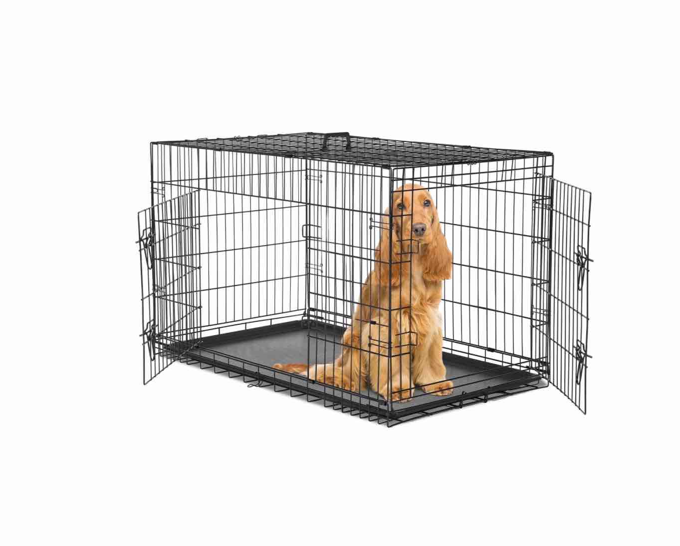 CONCETTA 48 inch Double-Door Folding Dog Crate, Portable Small Cage with Divider, Leak-Proof Tray