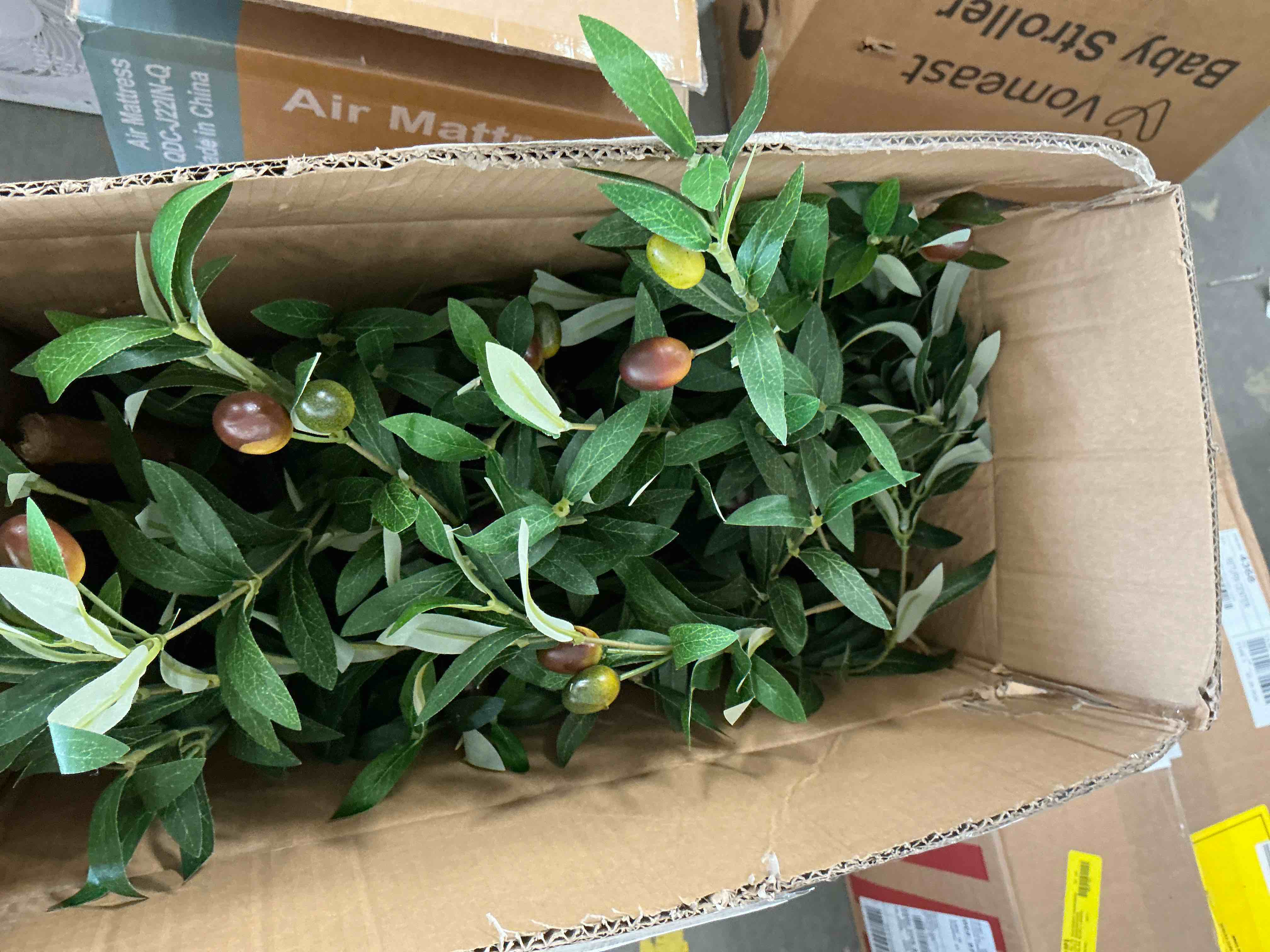 Condition photo showing Good Condition for 6 ft Artificial Olive Plants with Realistic Leaves and Natural Trunk, Silk Fake Olive Tree in Black Plastic Pot, Faux Olive Tree for Office Home