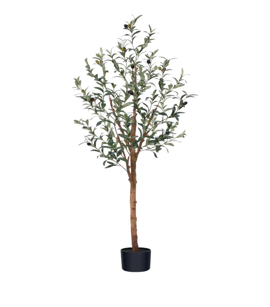 dr.planzen 5ft artificial olive tree indoor, tall faux olive tree, artificial plants with natural wood trunk and lifelike fruits for home office decor